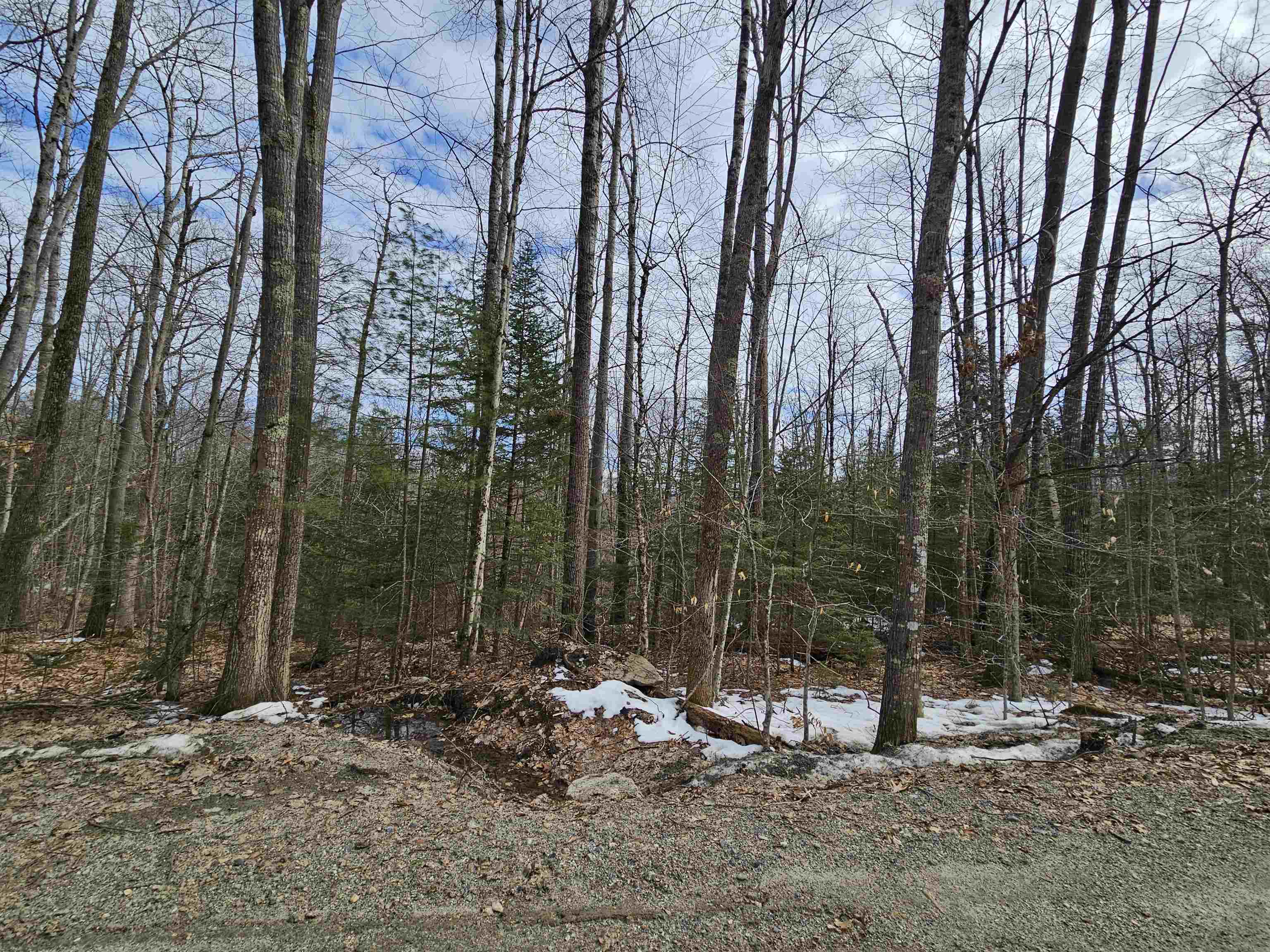 Lot 90 Faraway Road Property Photo 19