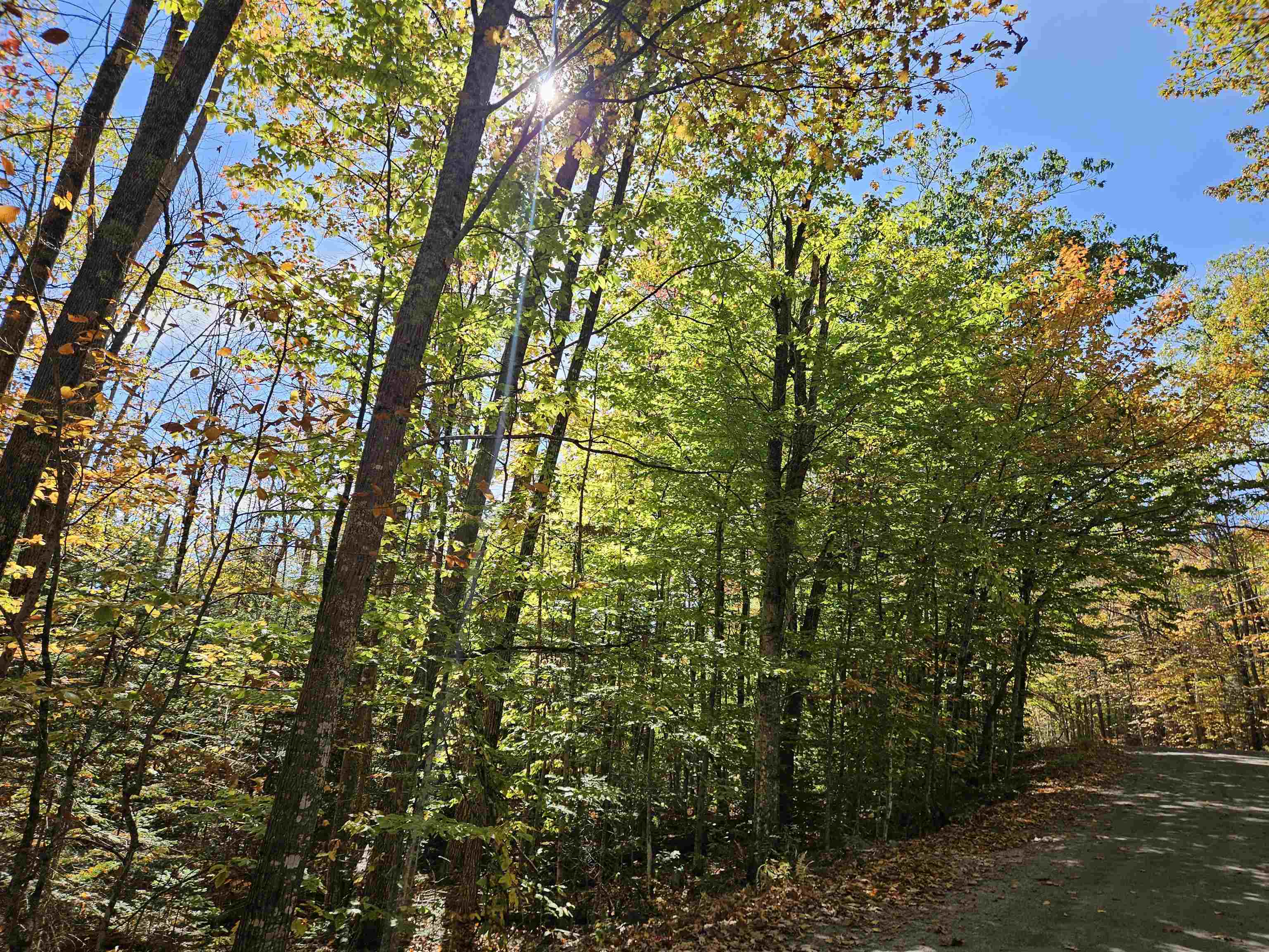 Lot 90 Faraway Road Property Photo 29