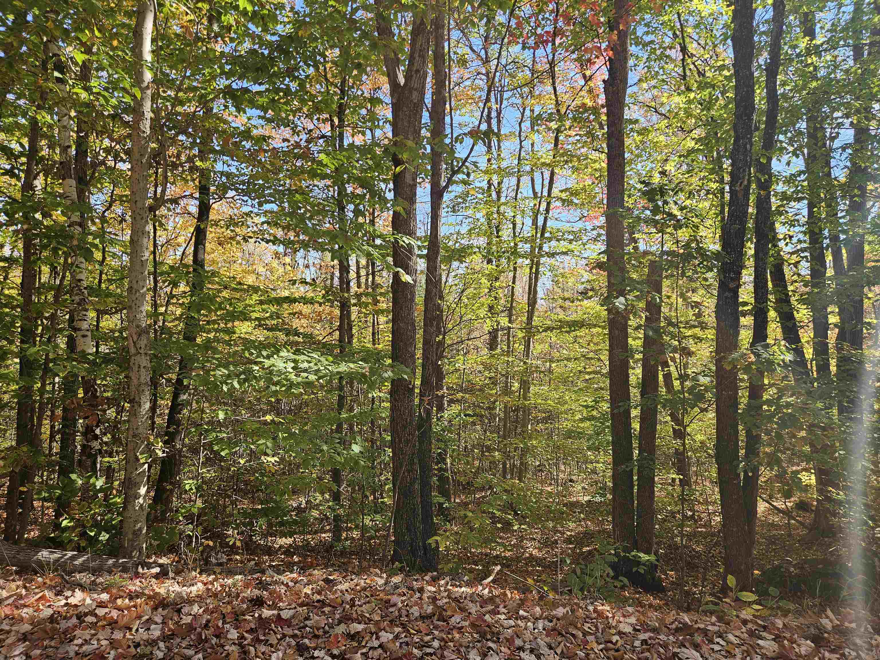 Lot 90 Faraway Road Property Photo 33