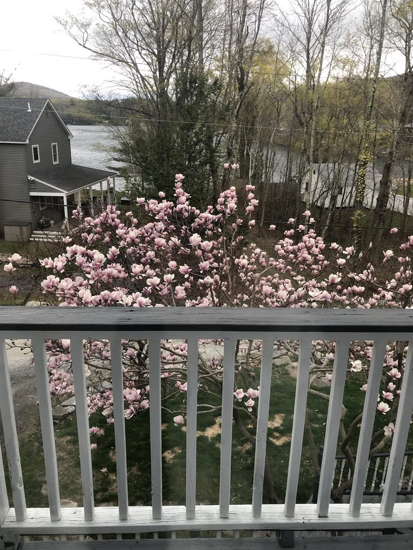 91 White Birch Drive Property Photo 4