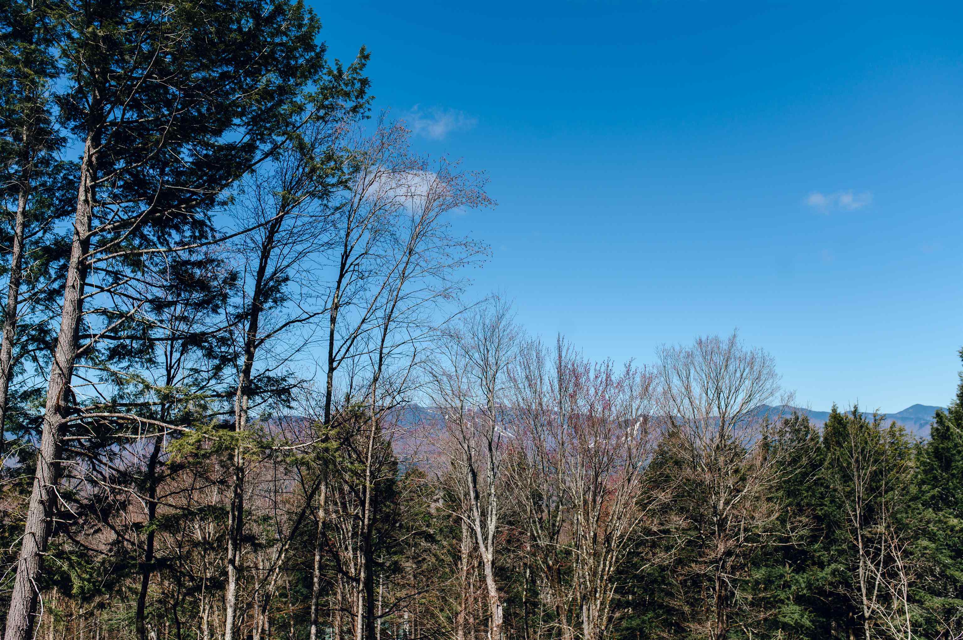 500a Ayers Farm Road Property Photo 4