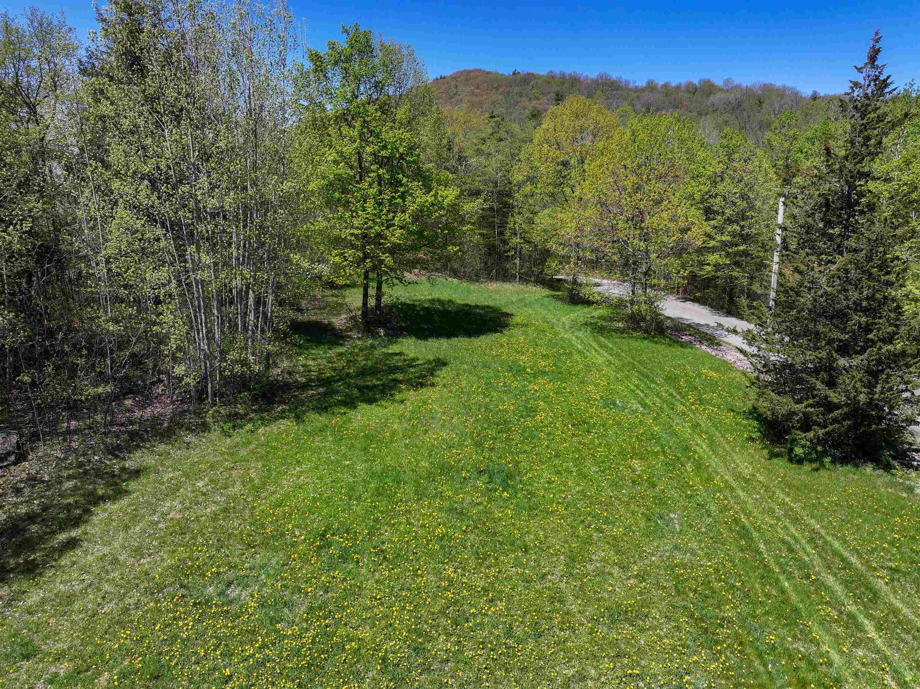 Tbd Forrest Road Property Photo 1