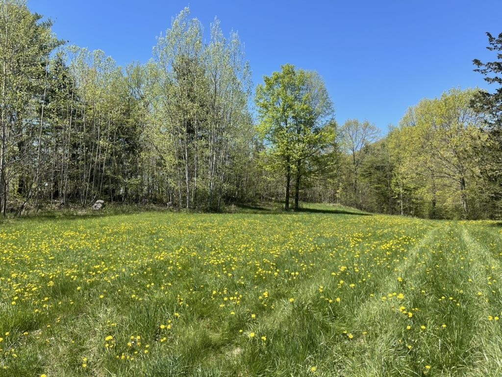 Tbd Forrest Road Property Photo 2