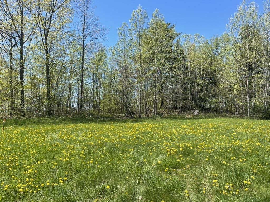 Tbd Forrest Road Property Photo 3