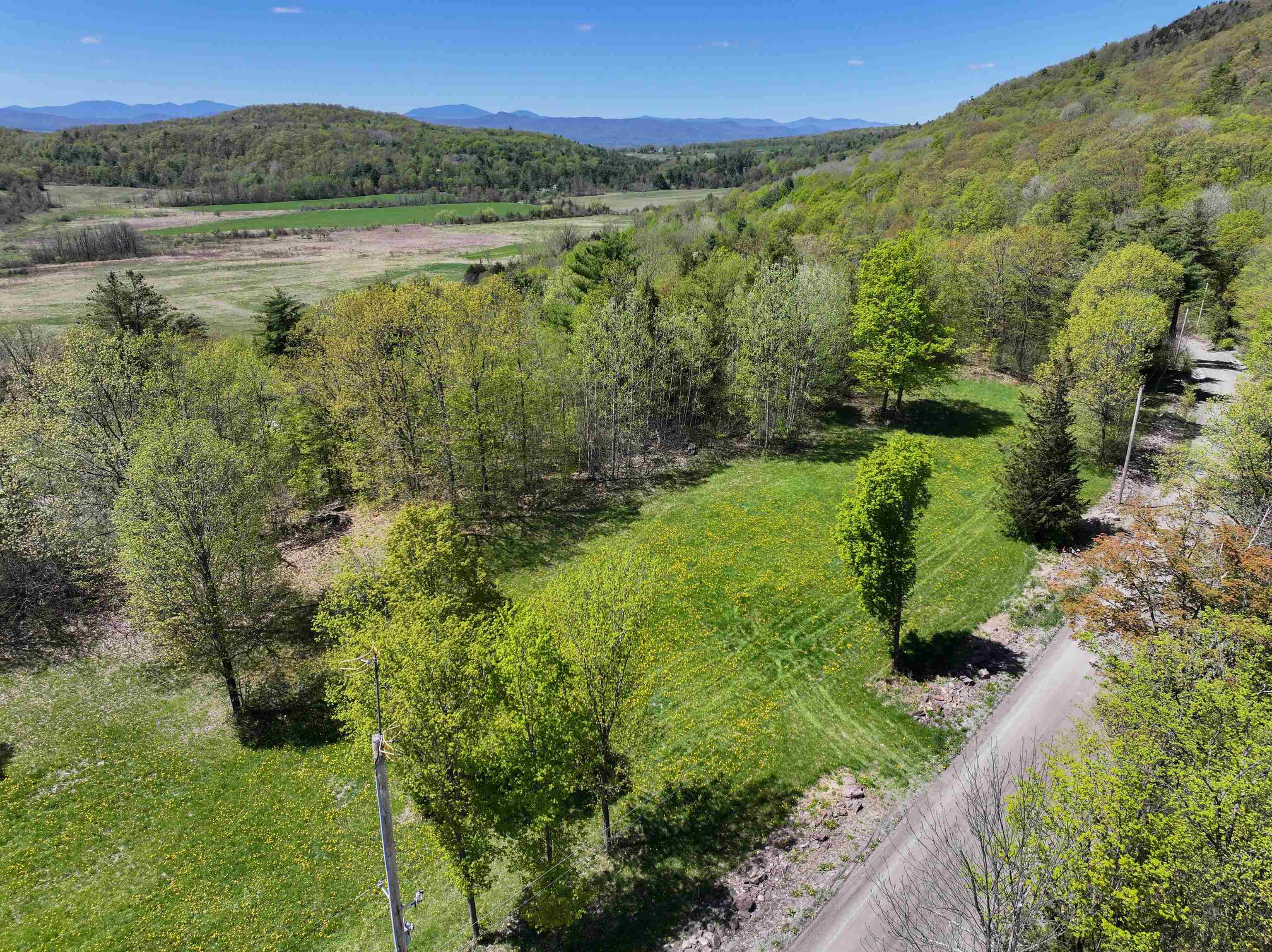 Tbd Forrest Road Property Photo 4