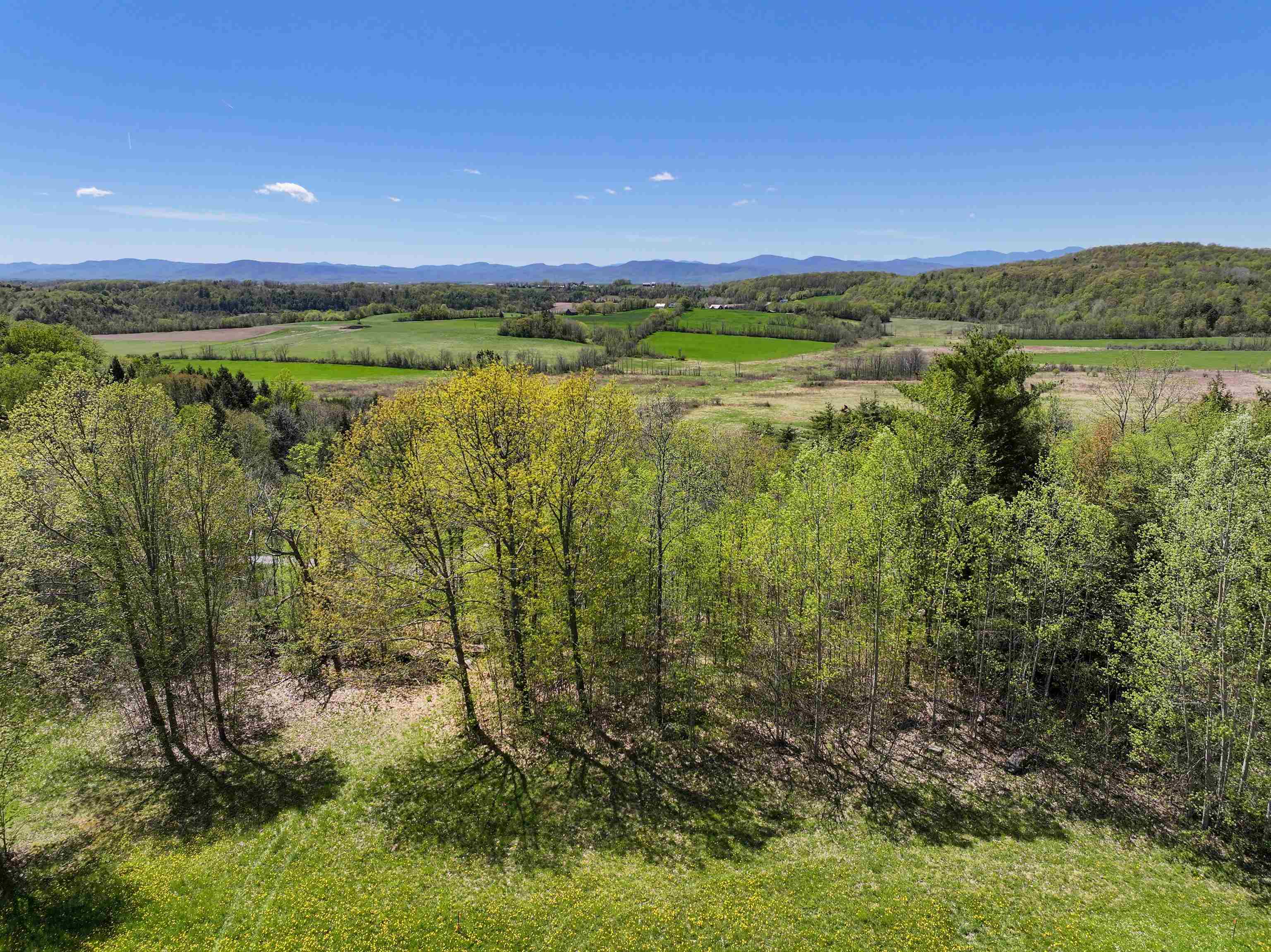 Tbd Forrest Road Property Photo 6