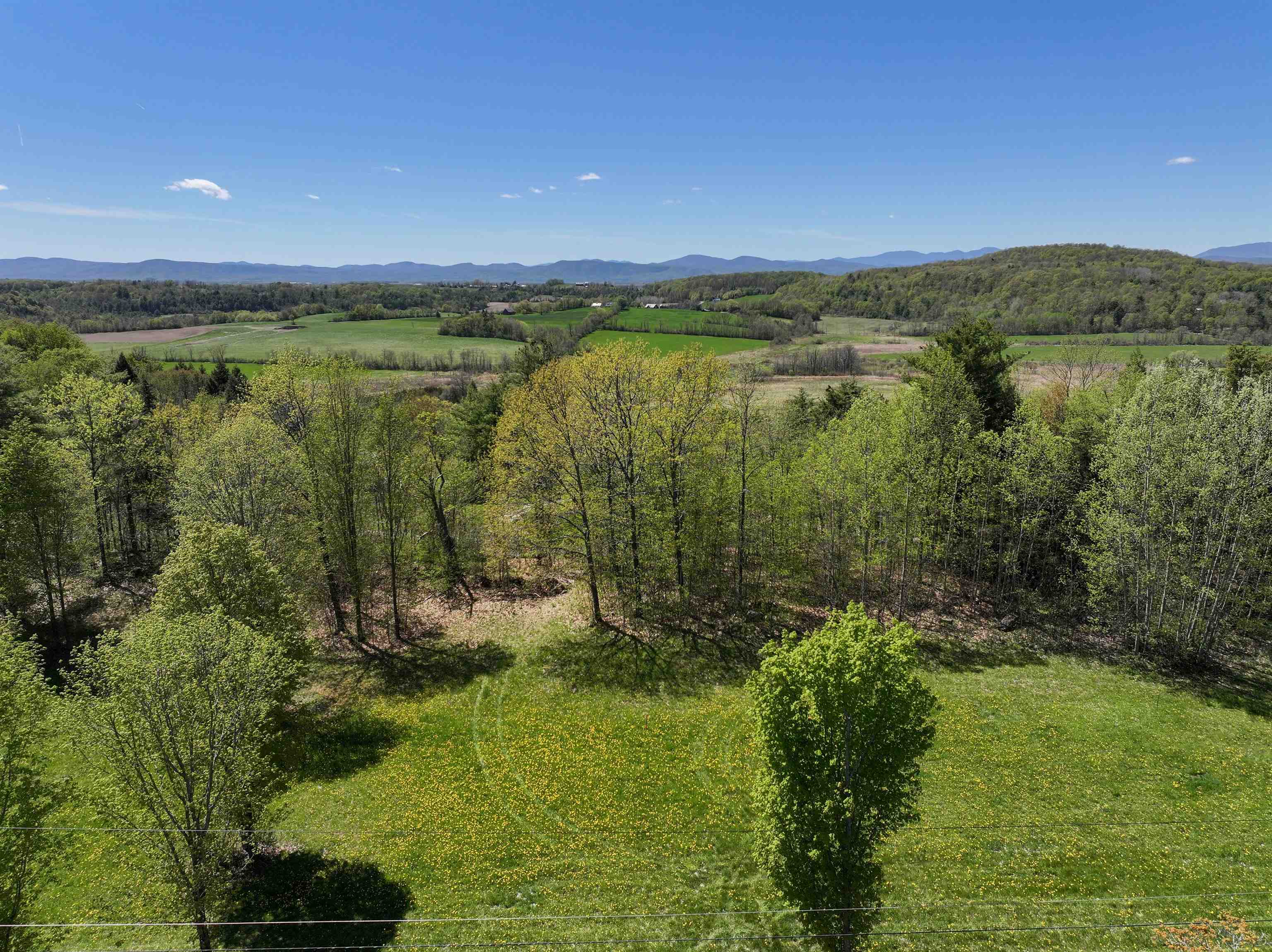 Tbd Forrest Road Property Photo 7