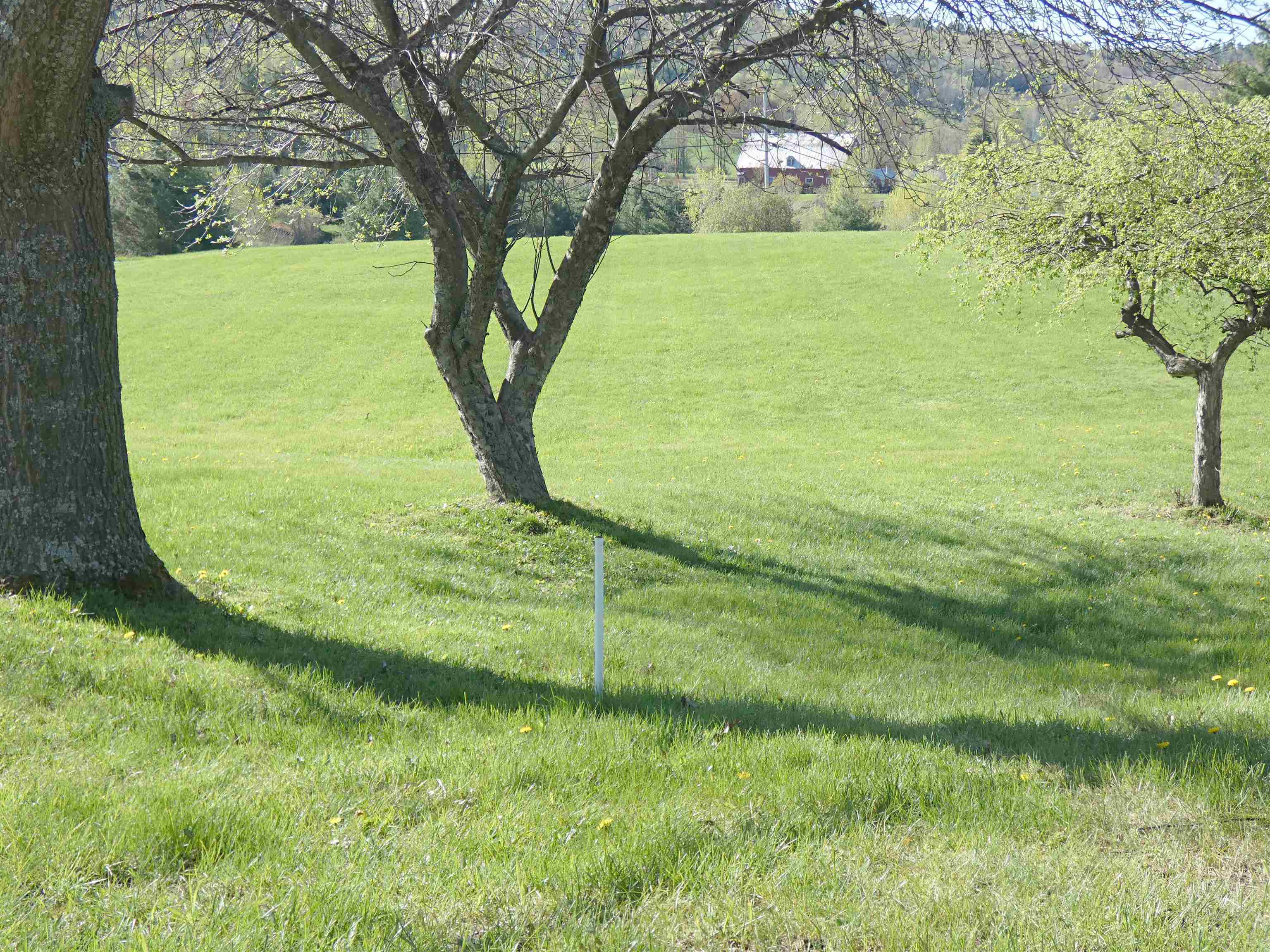 41 Whispering Pines Road Property Photo 10