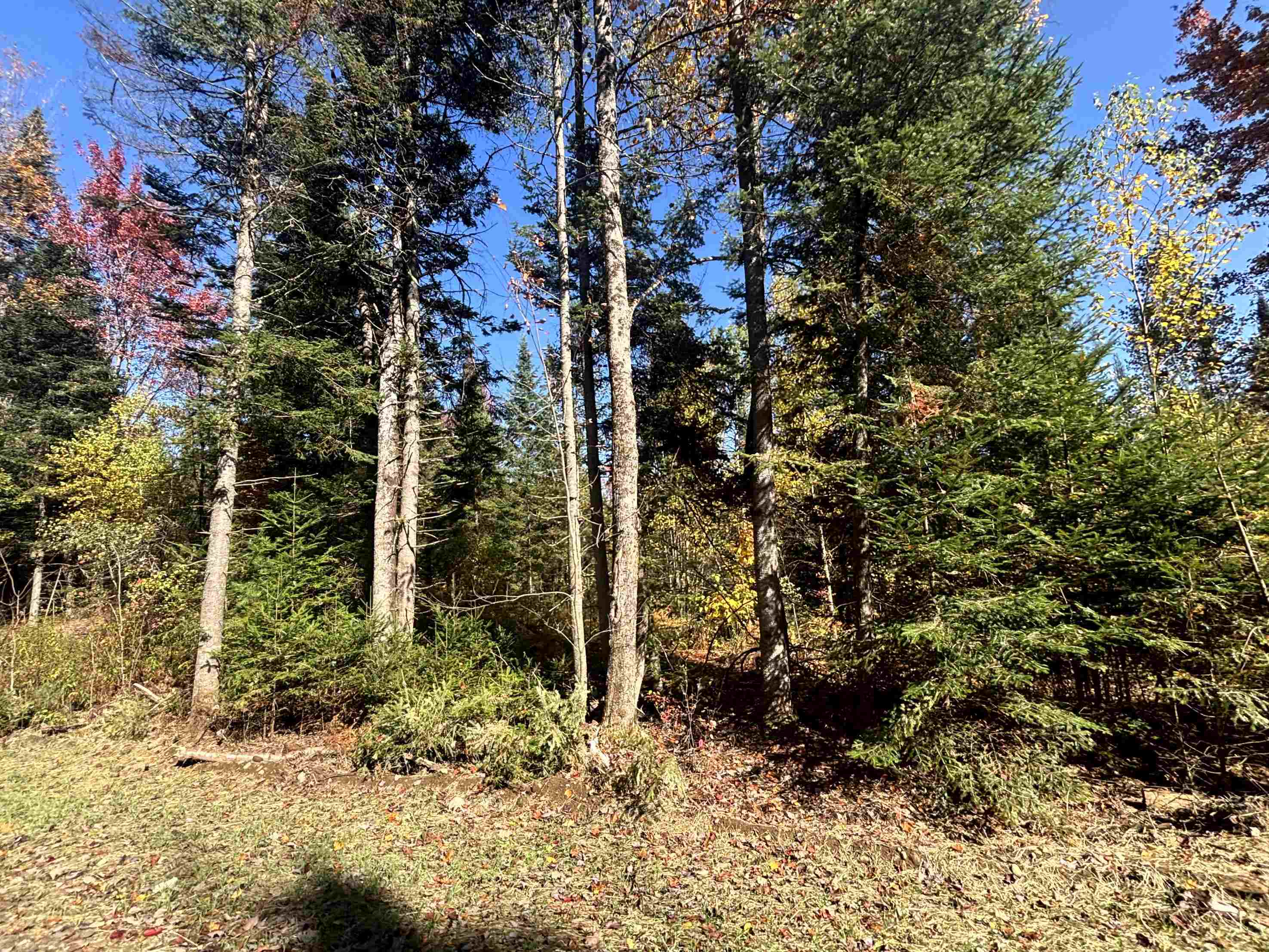 0 Atwood Road Property Photo 3