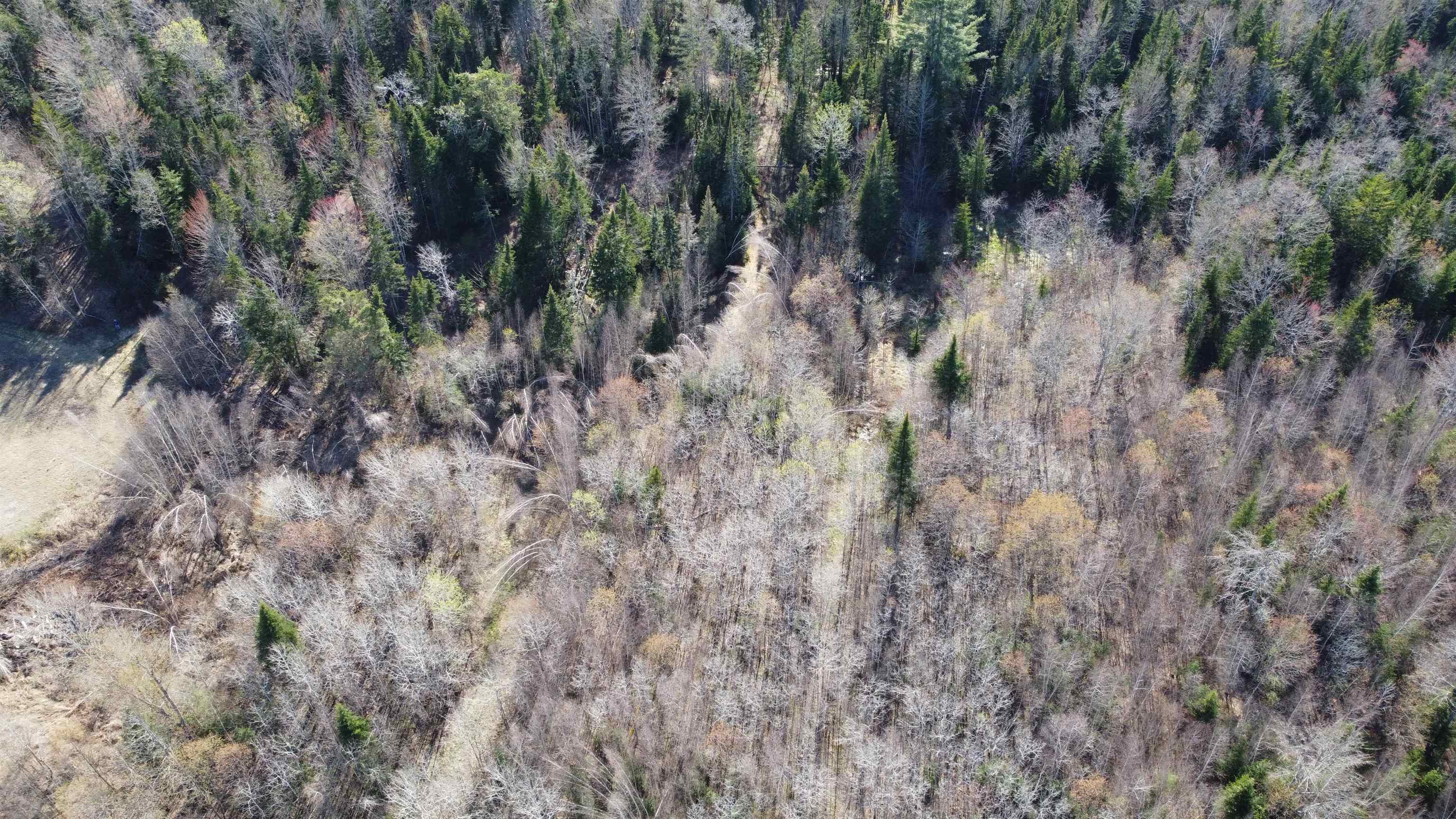 0 Atwood Road Property Photo 17