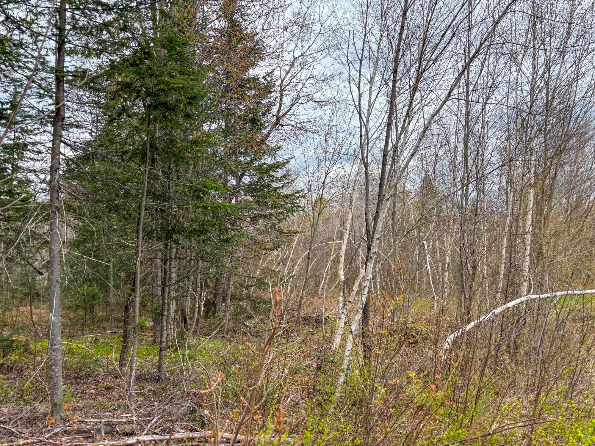0 Atwood Road Property Photo 22