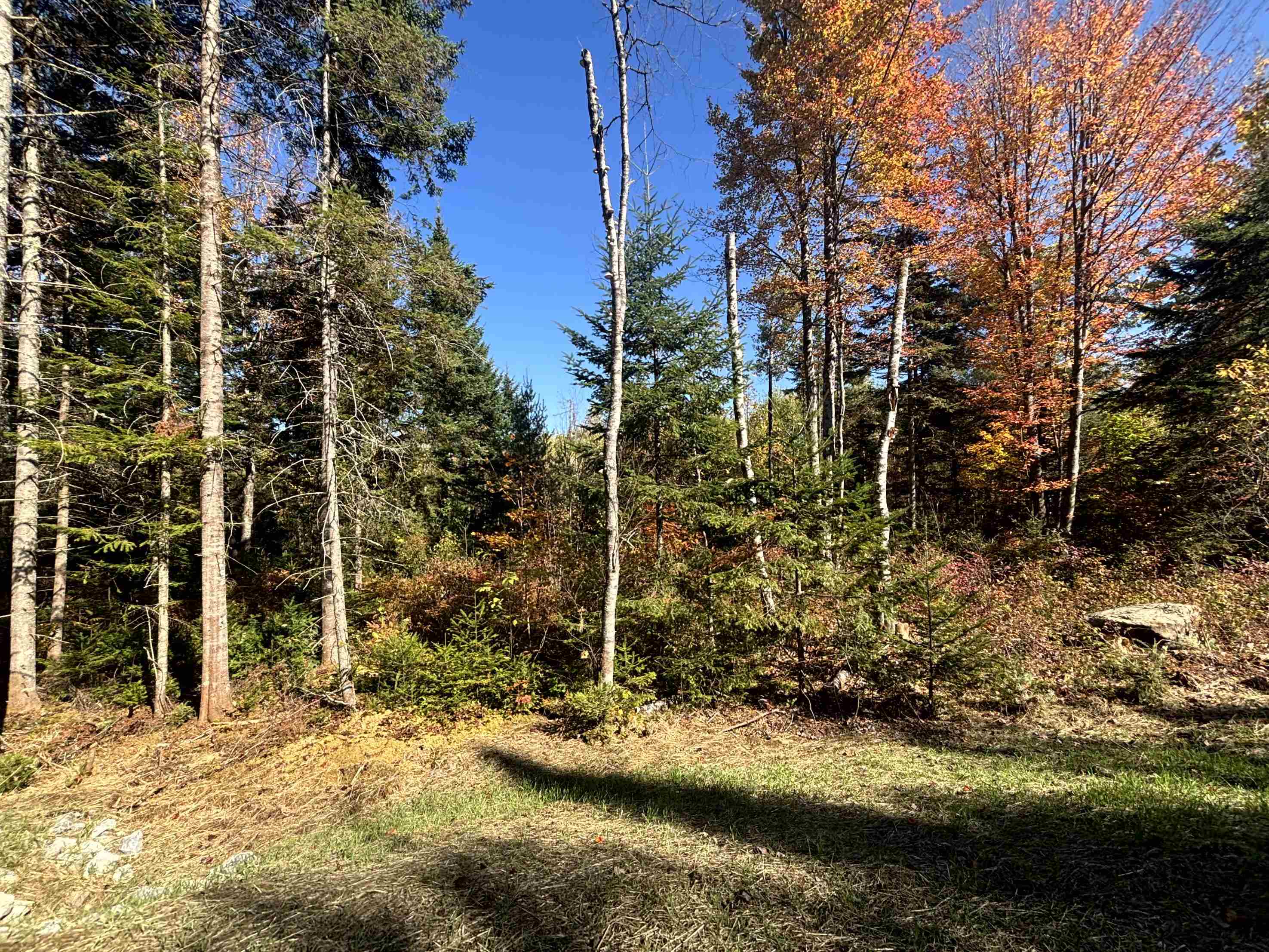 0 Atwood Road Property Photo 2