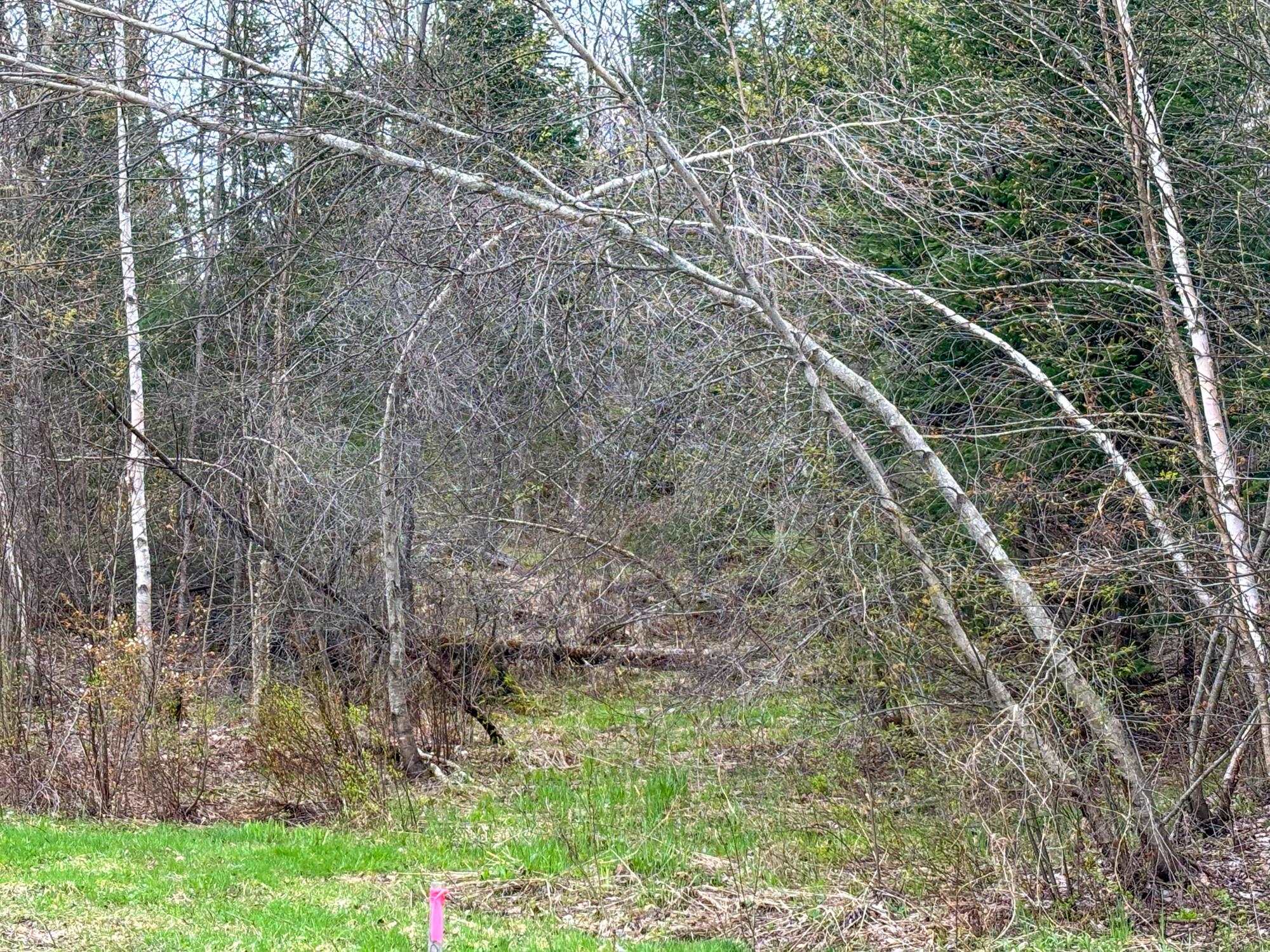 0 Atwood Road Property Photo 7