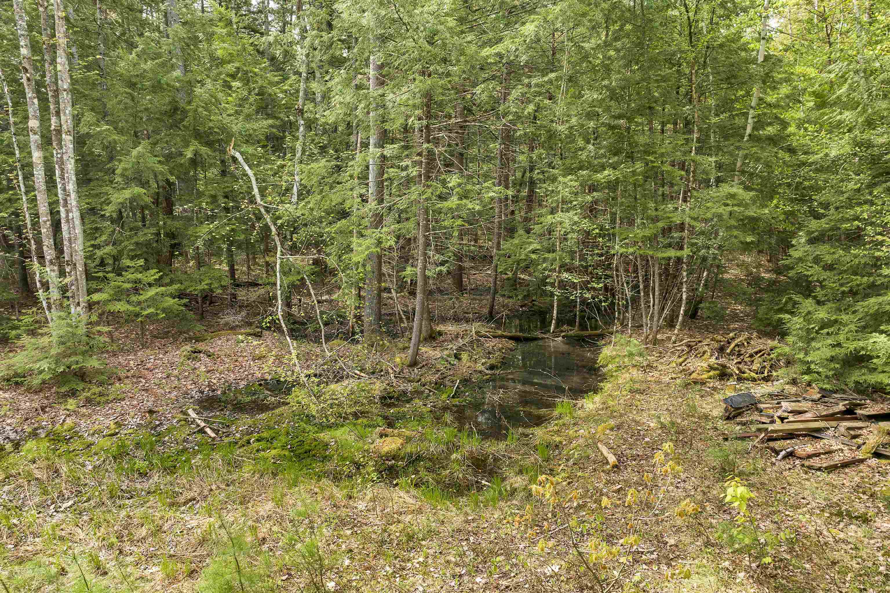 Lot 42,43,44,49 G Street Property Photo 2