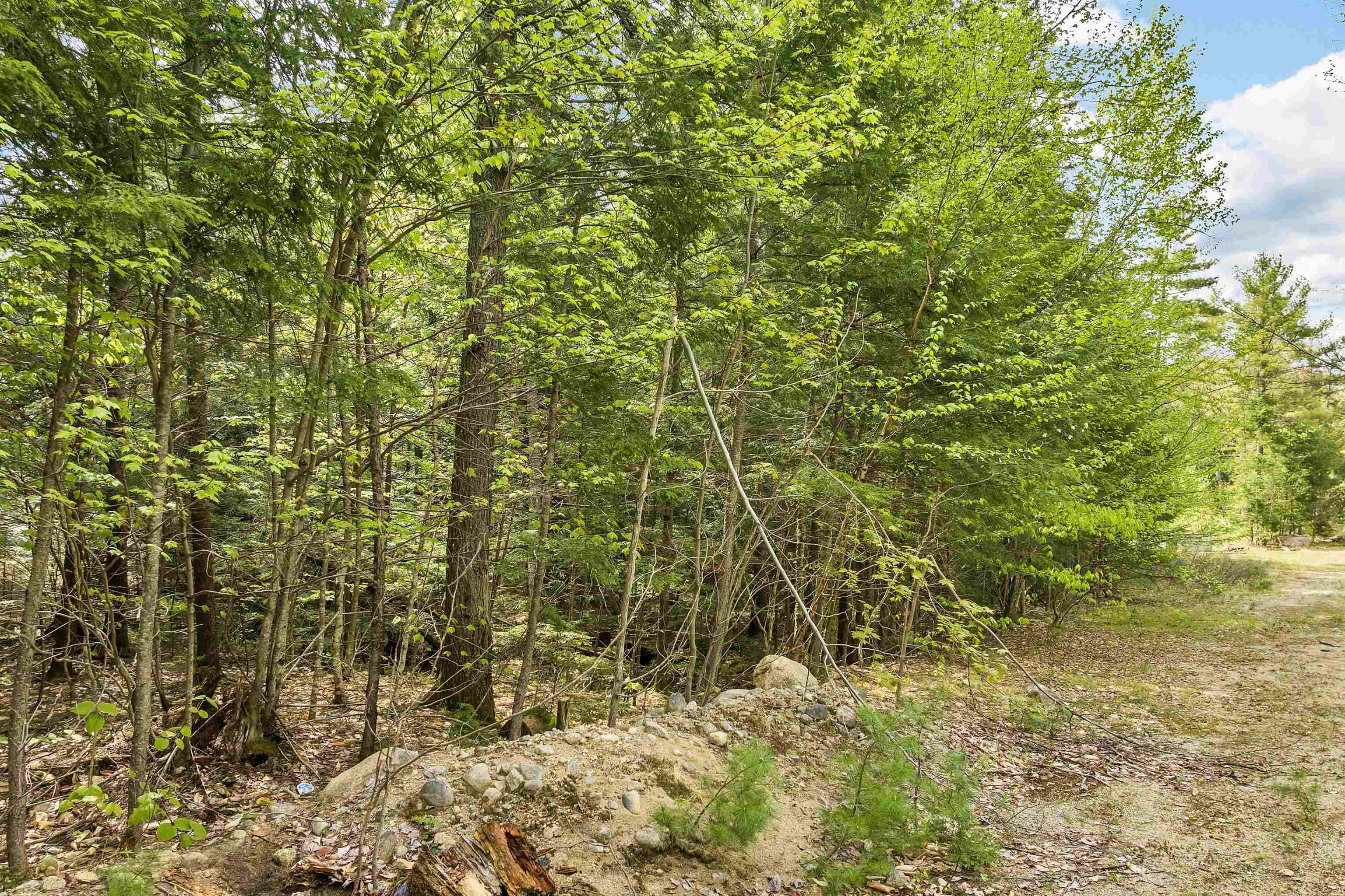Lot 42,43,44,49 G Street Property Photo 4