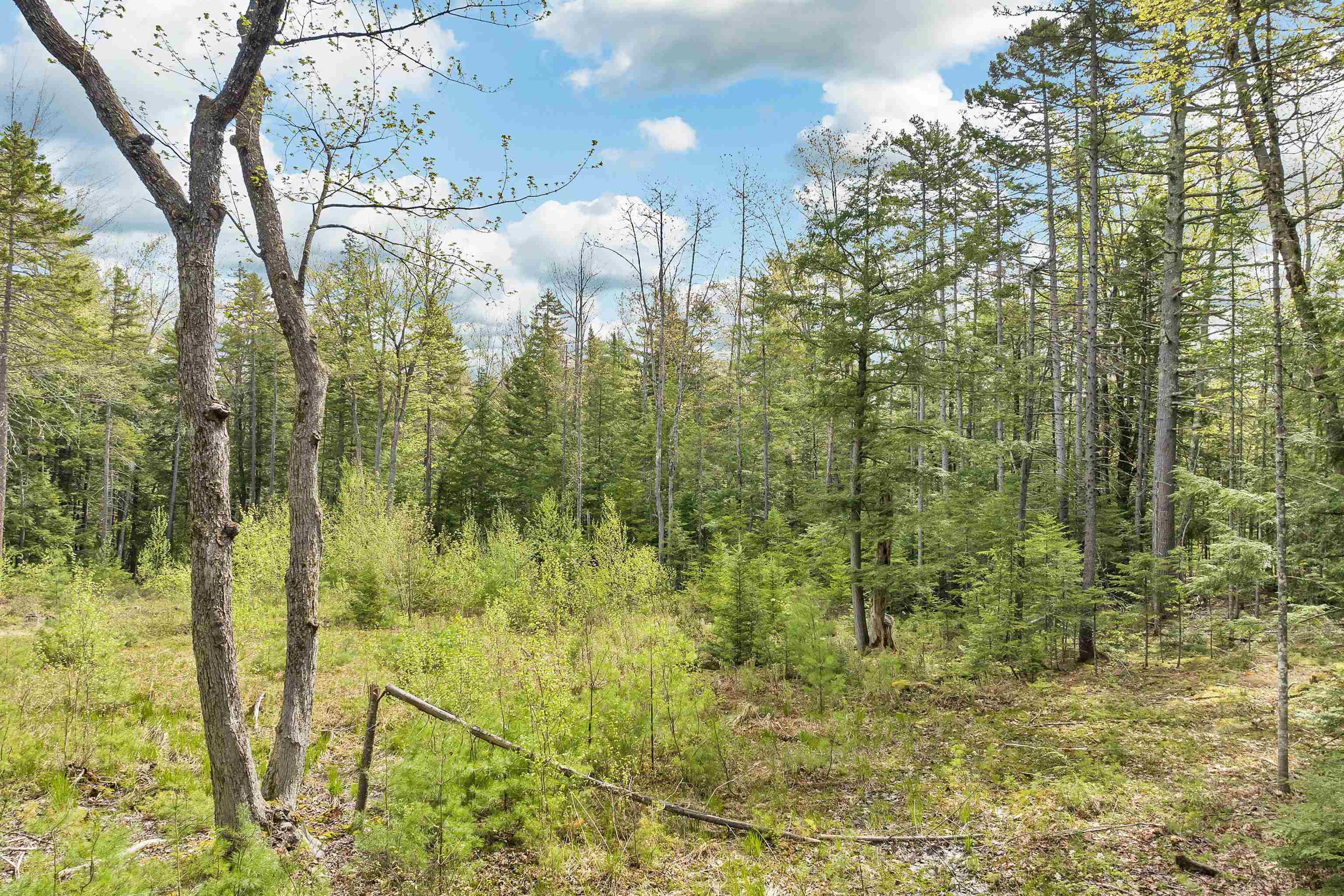 Lot 42,43,44,49 G Street Property Photo 6