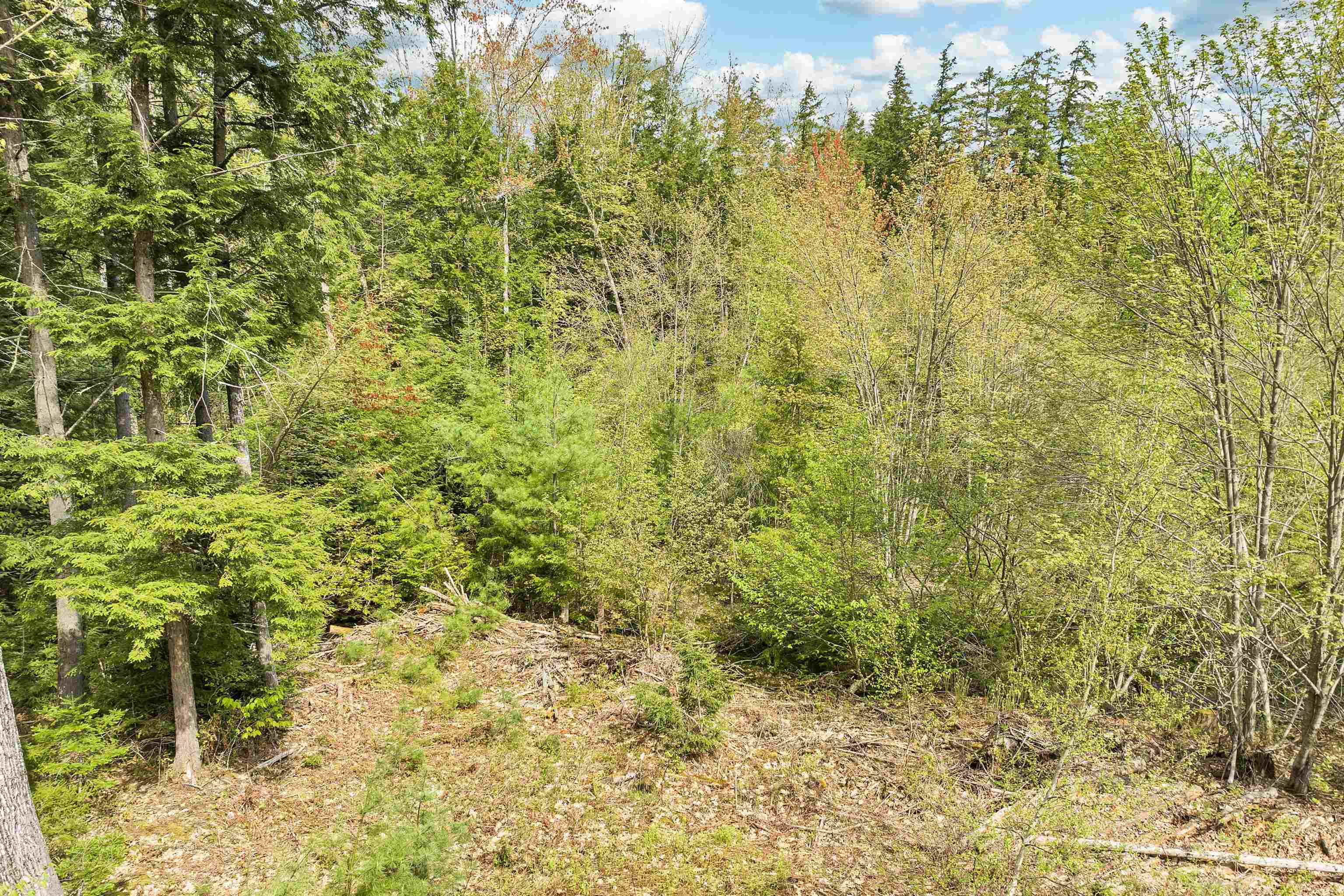 Lot 42,43,44,49 G Street Property Photo 7