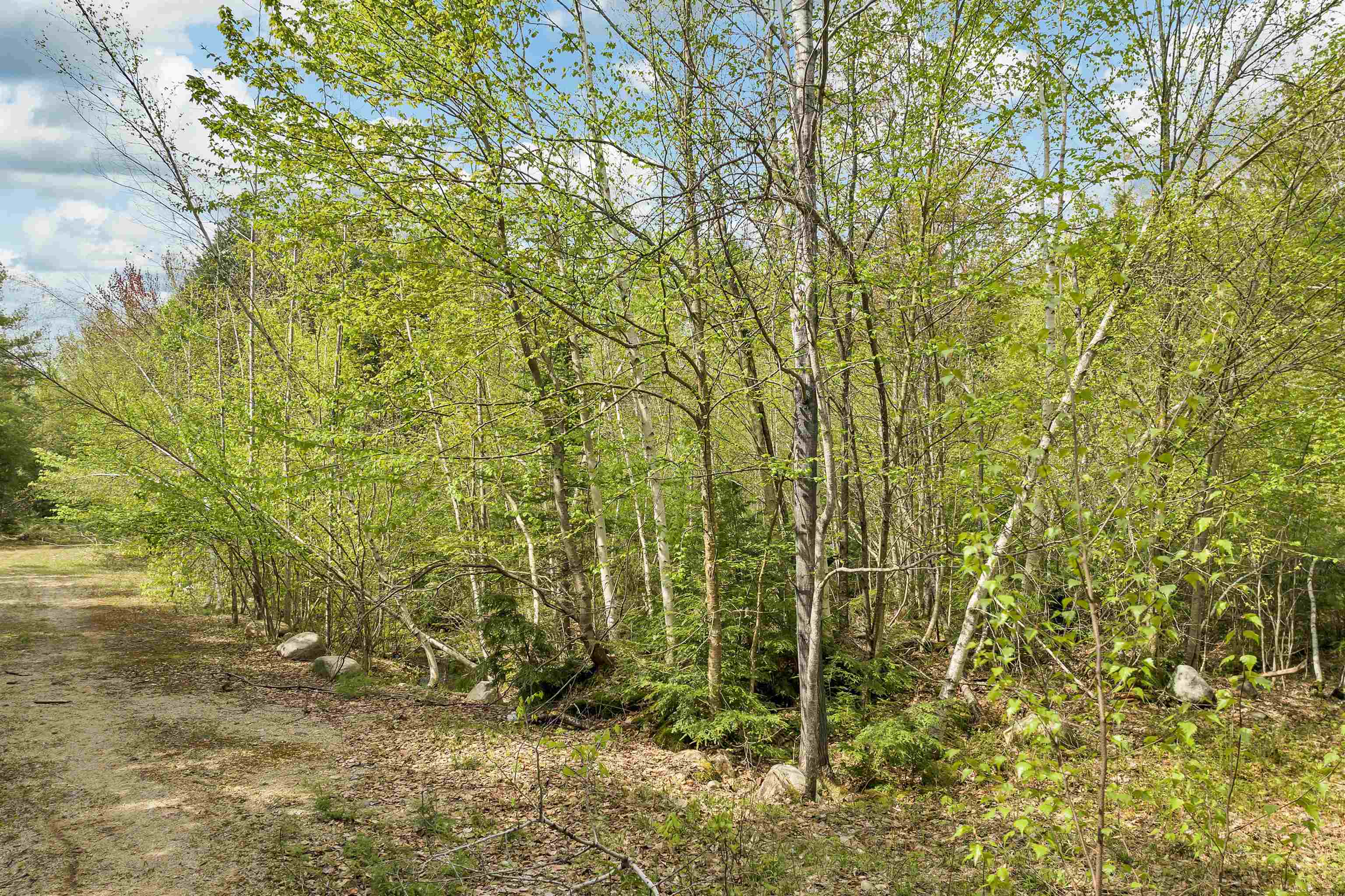 Lot 42,43,44,49 G Street Property Photo 8