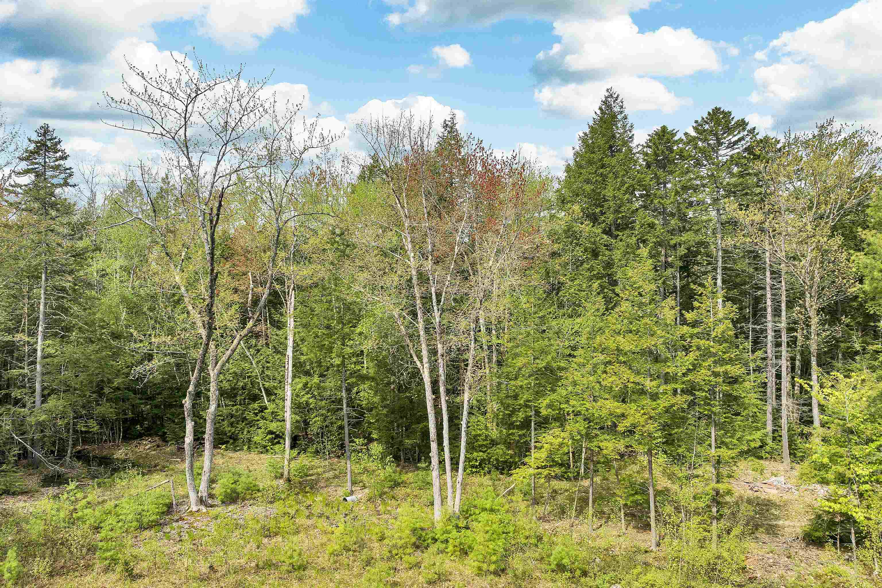 Lot 42,43,44,49 G Street Property Photo 10