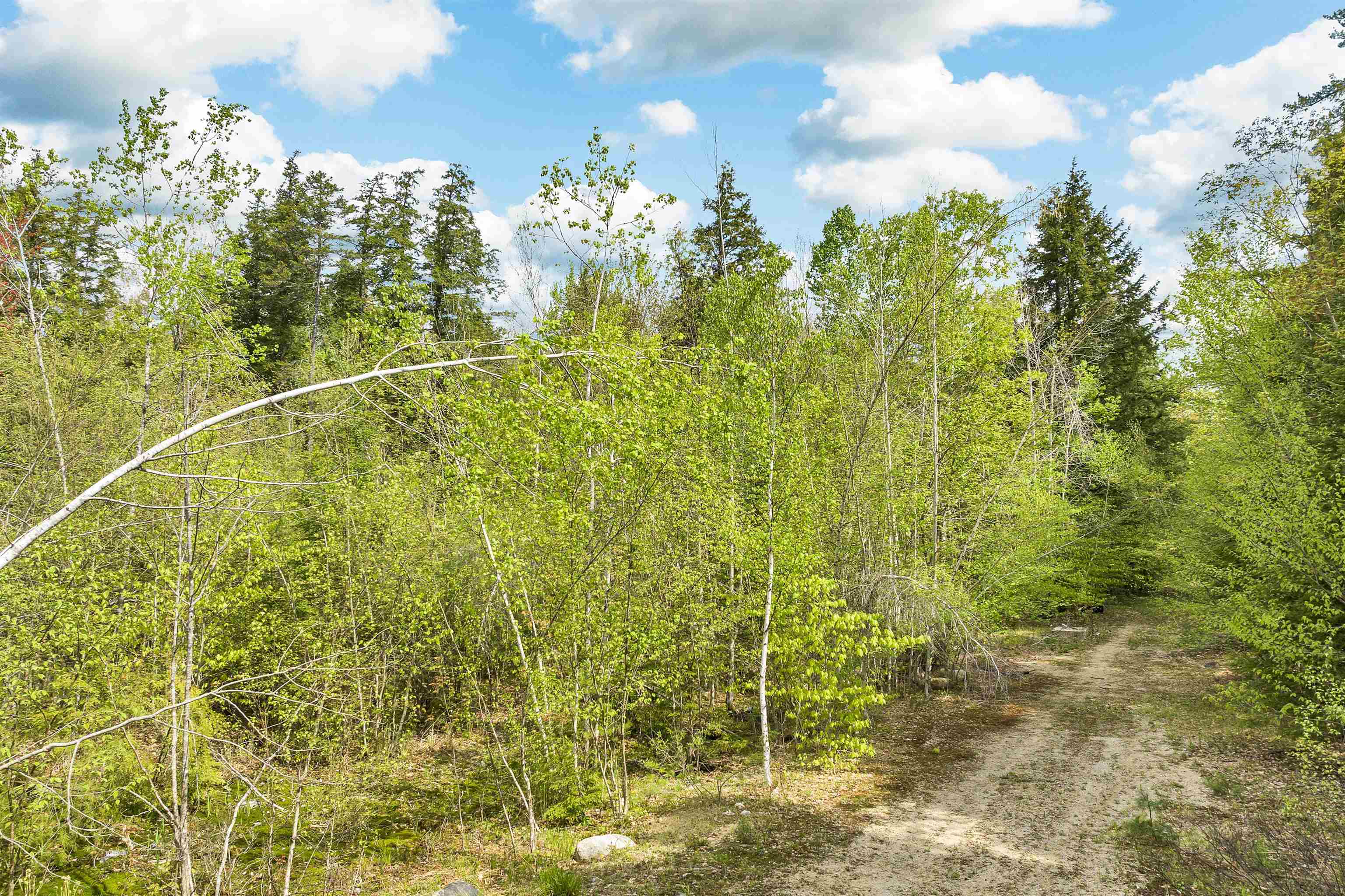 Lot 42,43,44,49 G Street Property Photo 13