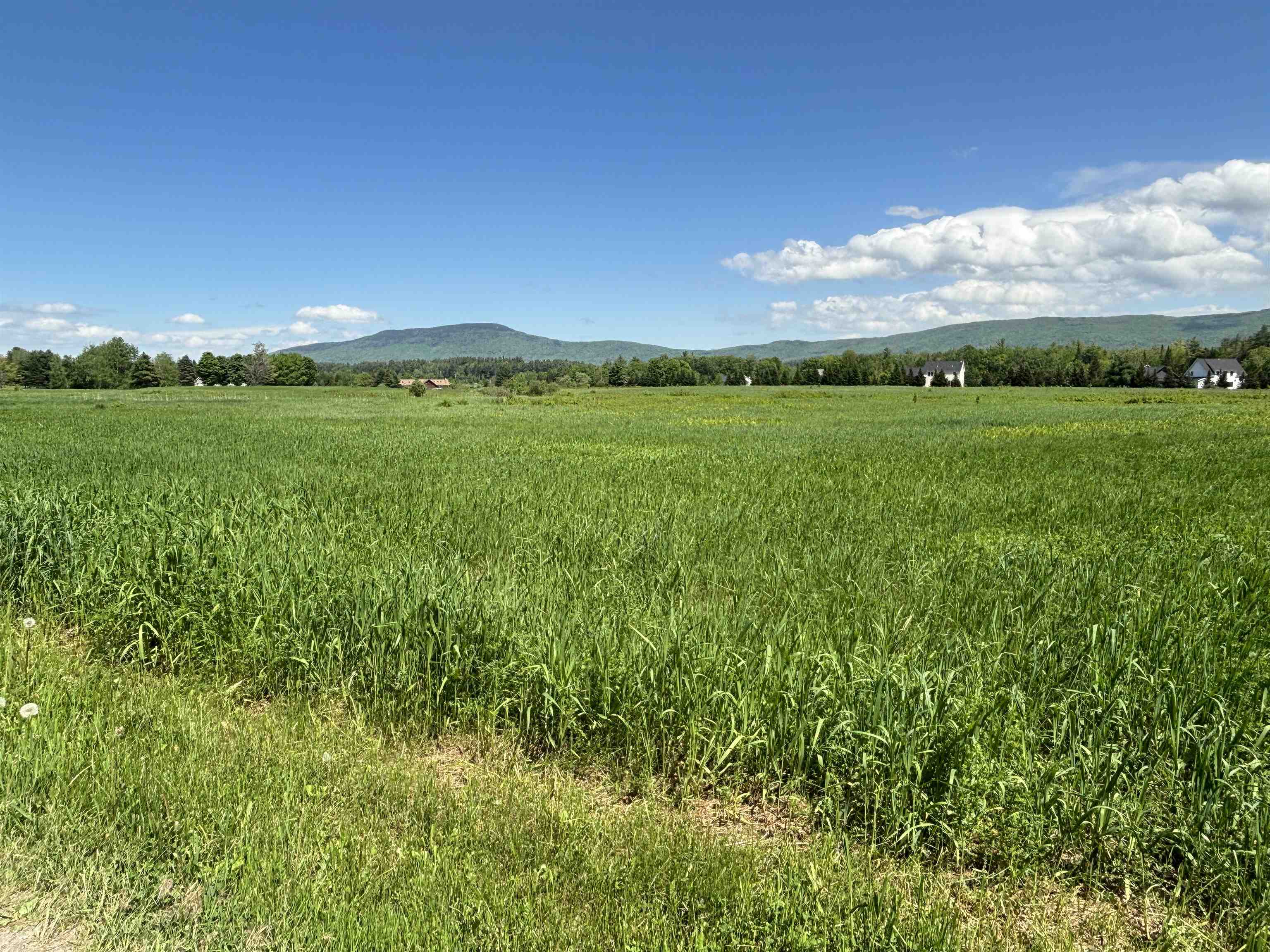 Lot #4 Lawrence Road Property Photo 5