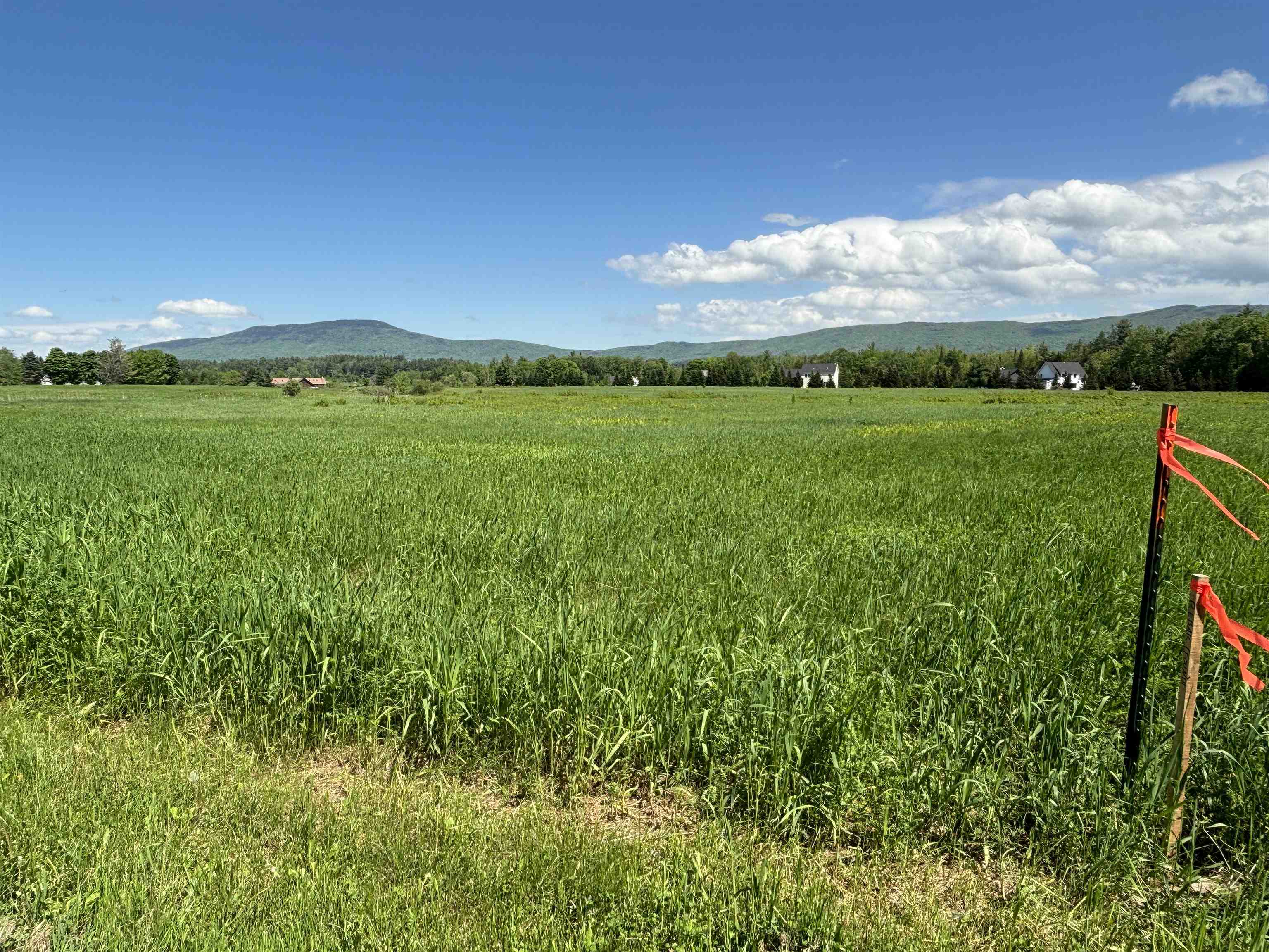 Lot #4 Lawrence Road Property Photo 9