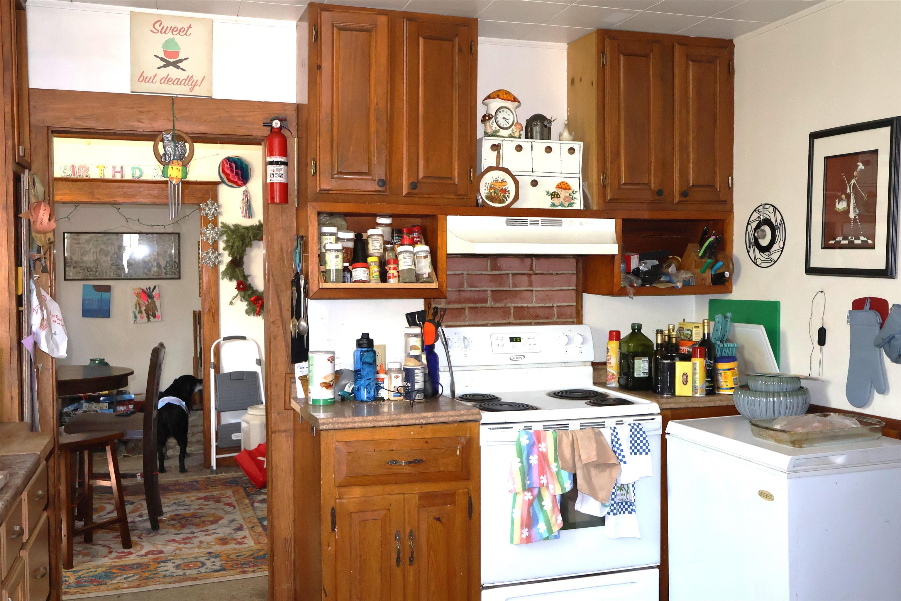 31 Christian Street Property Photo 34