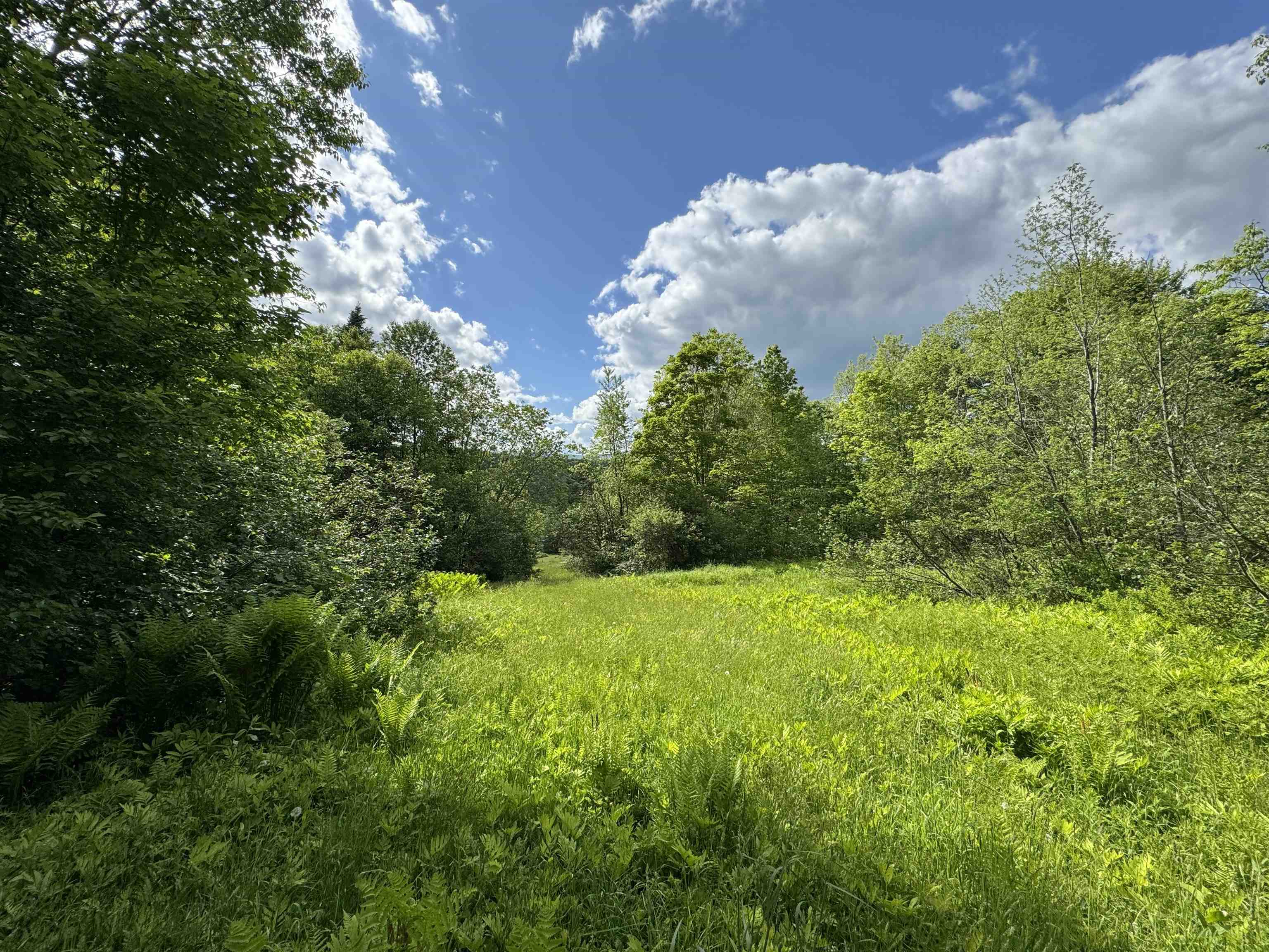0 Hillside Drive Property Photo 3