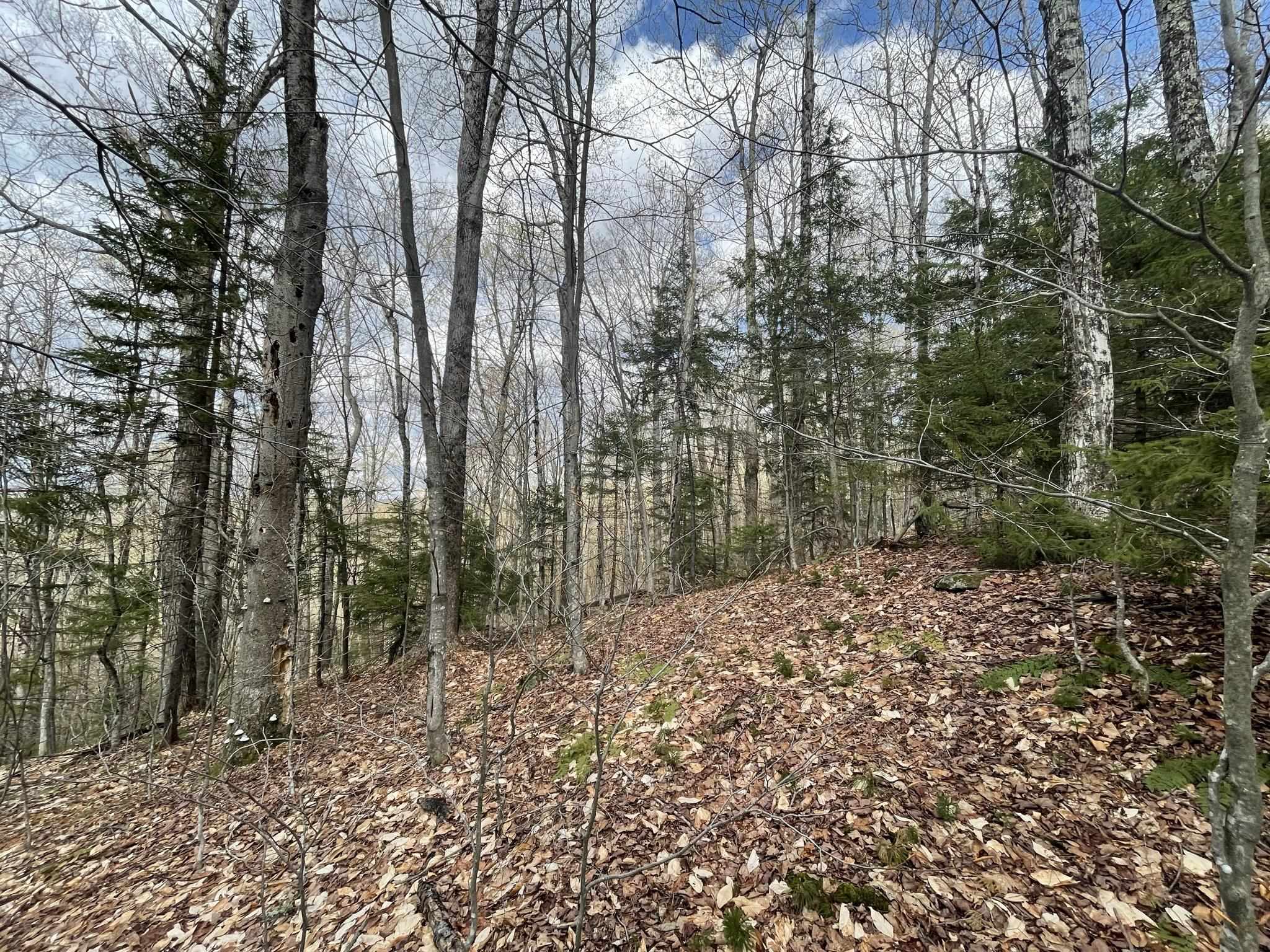 0 Hillside Drive Property Photo 15