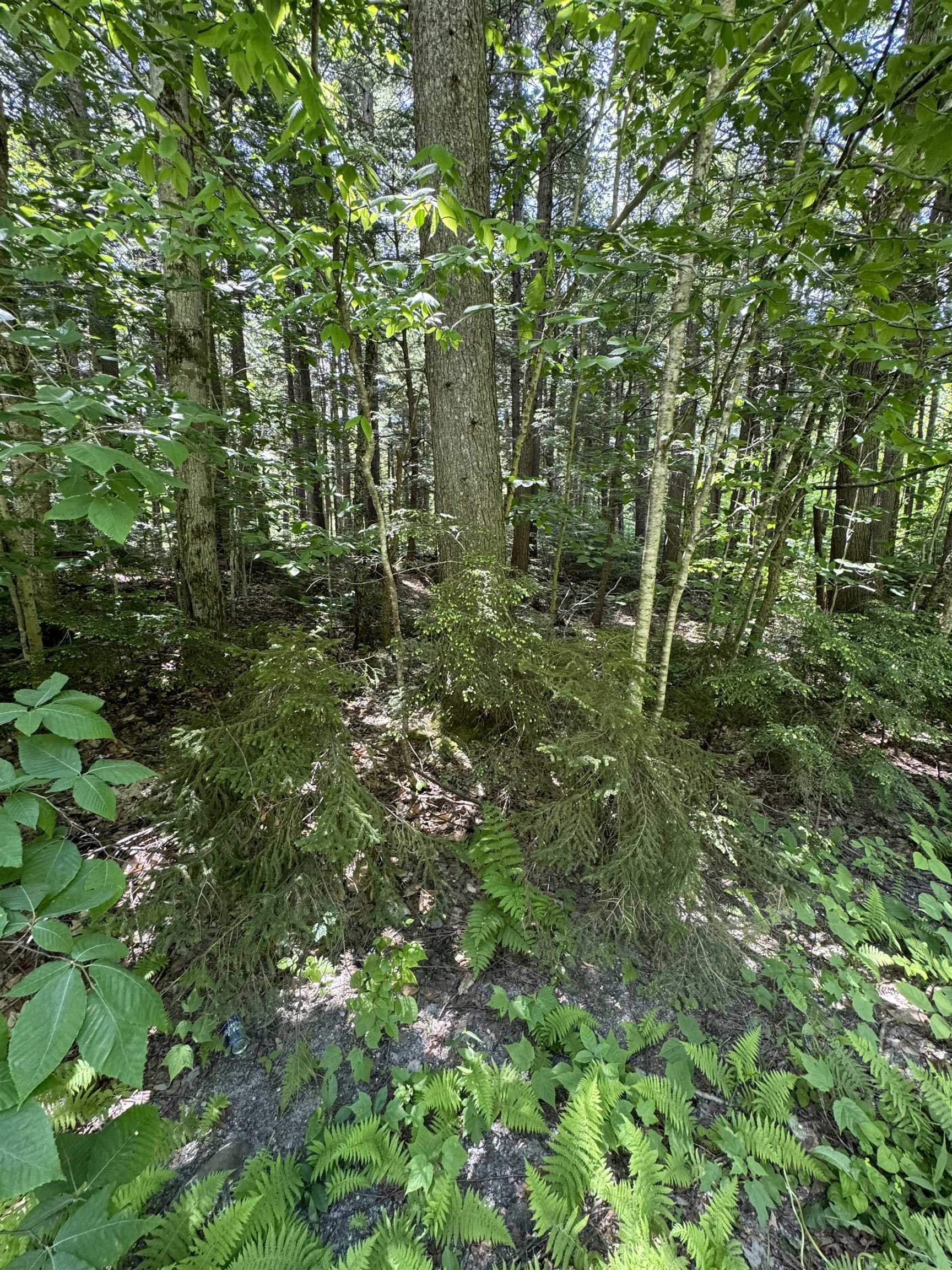 0 Boardman Loop Property Photo 1