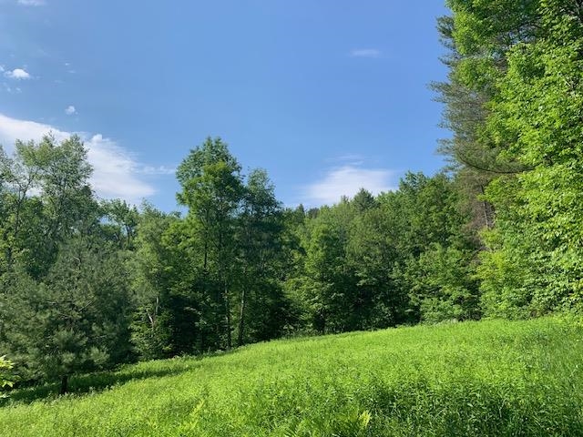 95 Jenne Road Property Photo 3