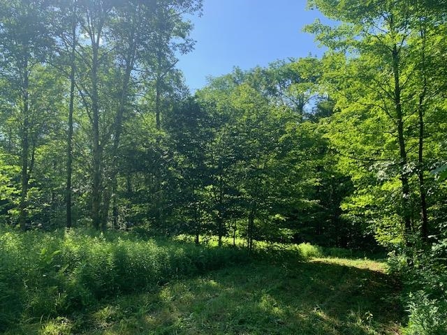 95 Jenne Road Property Photo 15