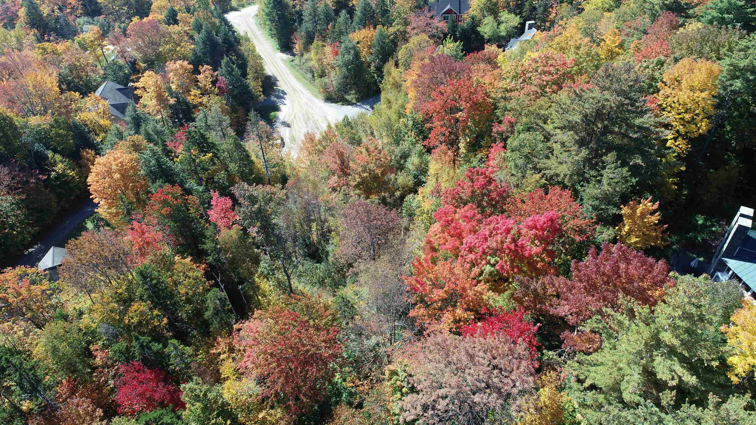 80 The Hollow Road Property Photo 11