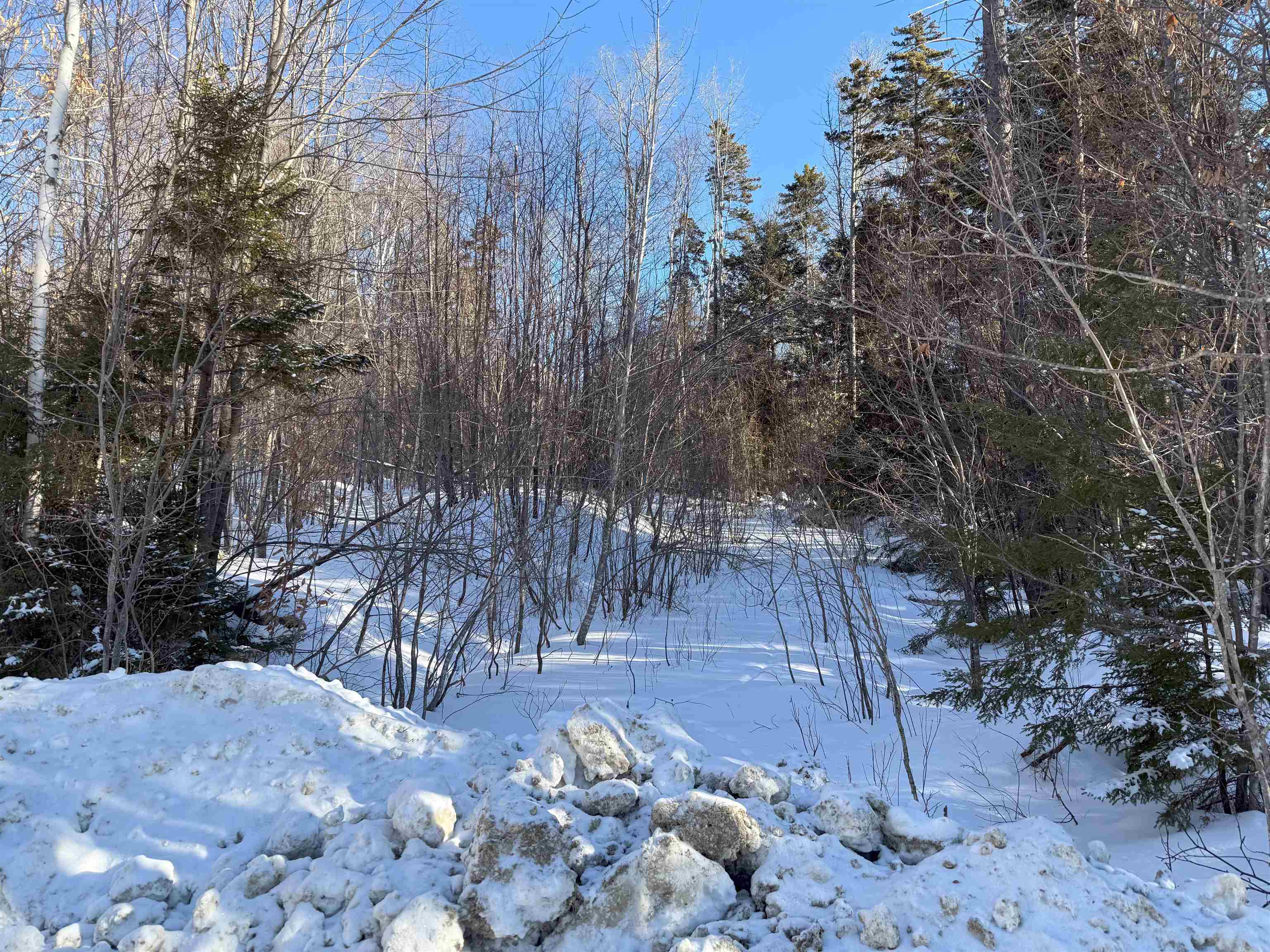 80 The Hollow Road Property Photo 17