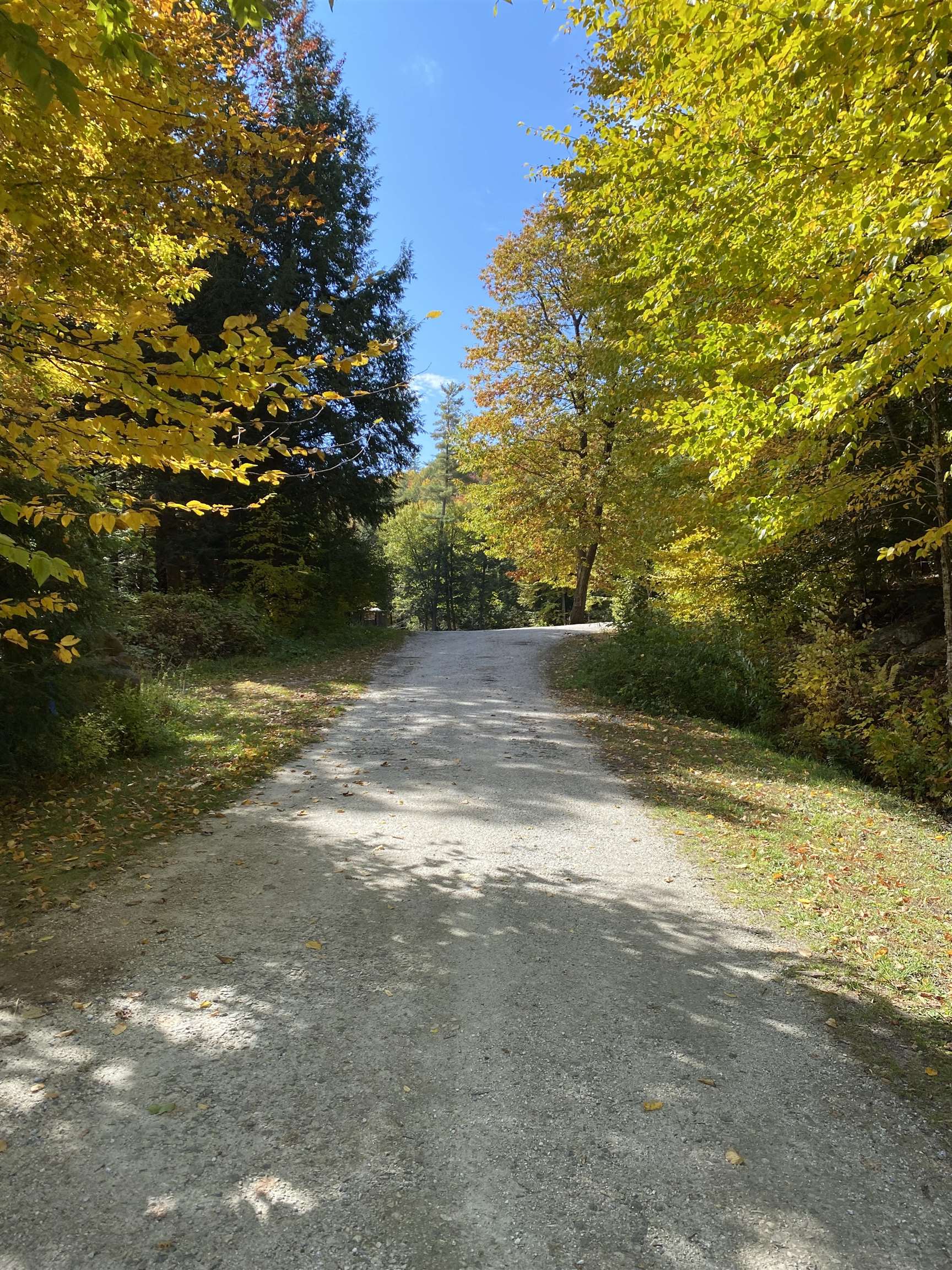 255 Linden Way Property Photo 12