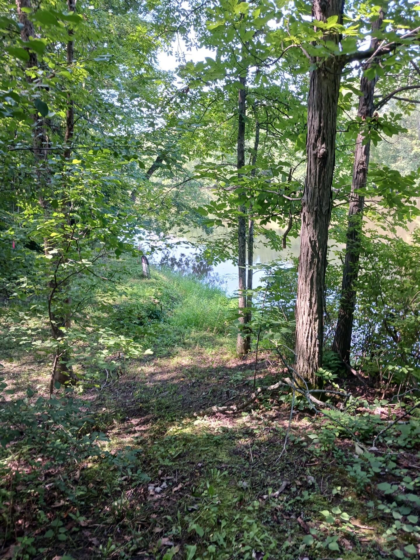 644 Panton Road Property Photo 20