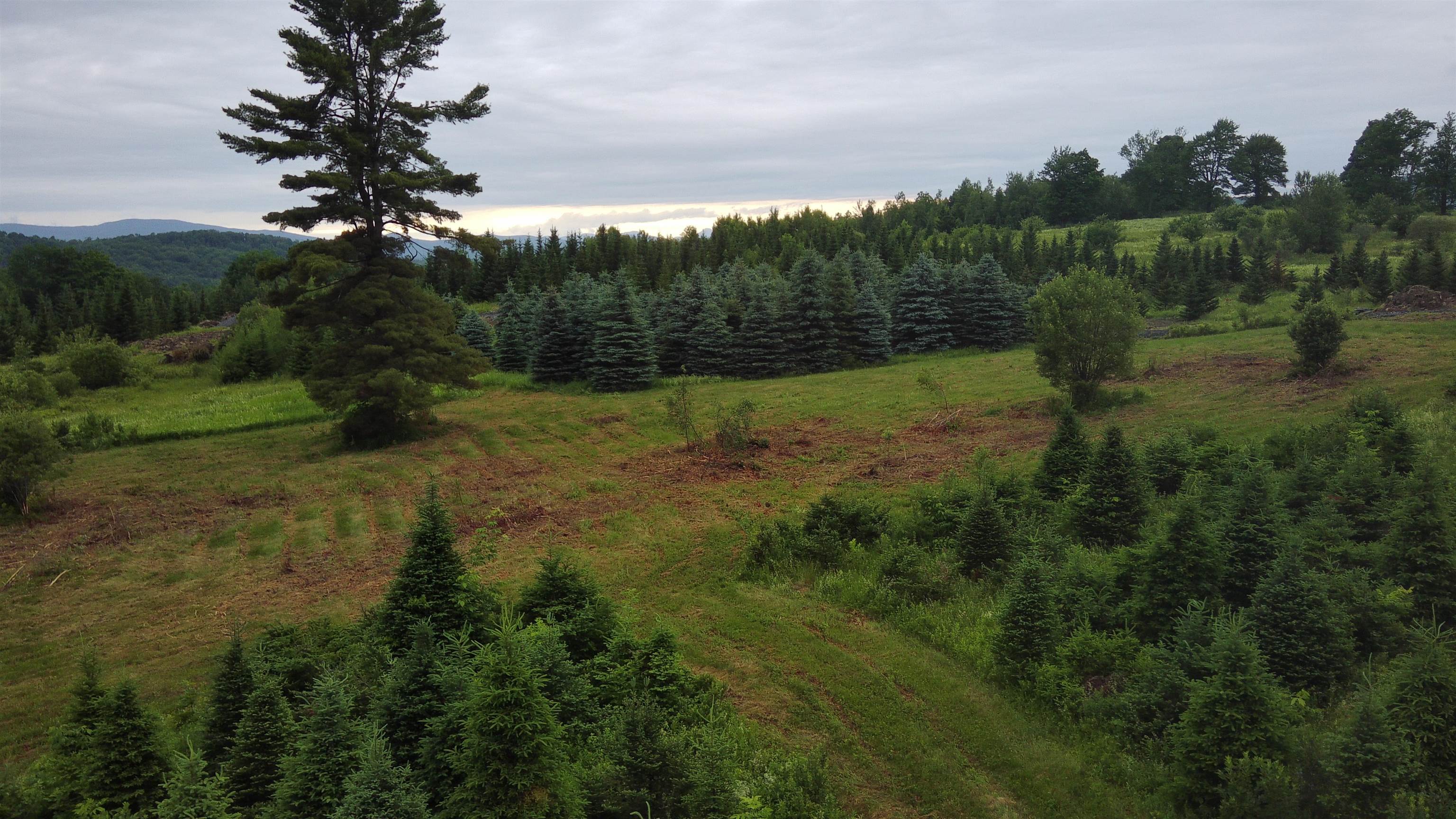 0 Lot 1 Emzaga Drive Property Photo 24