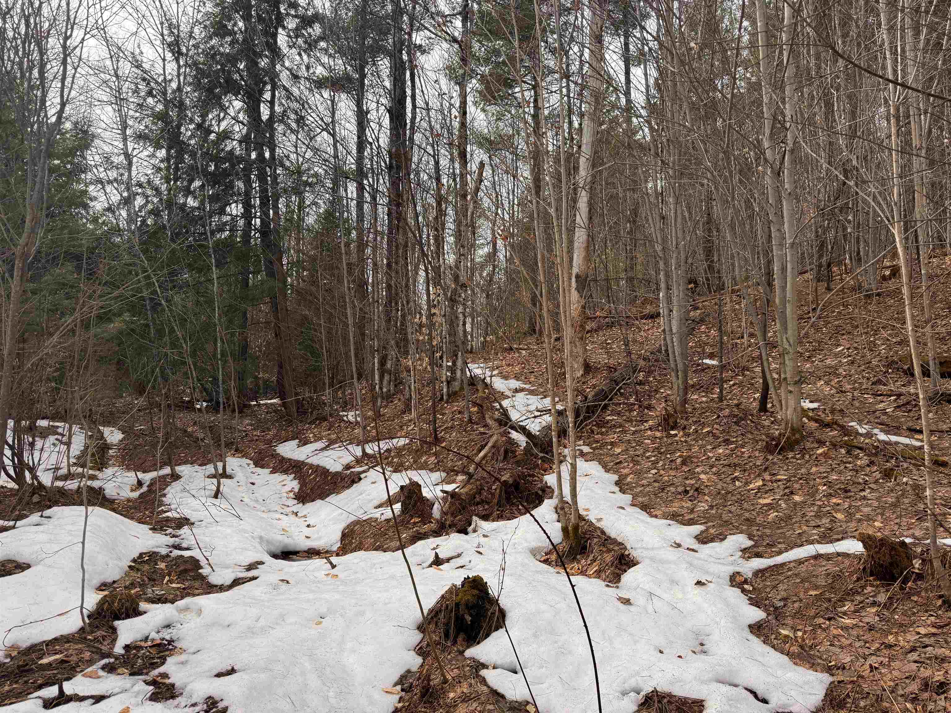 0 Cross Road Property Photo 7