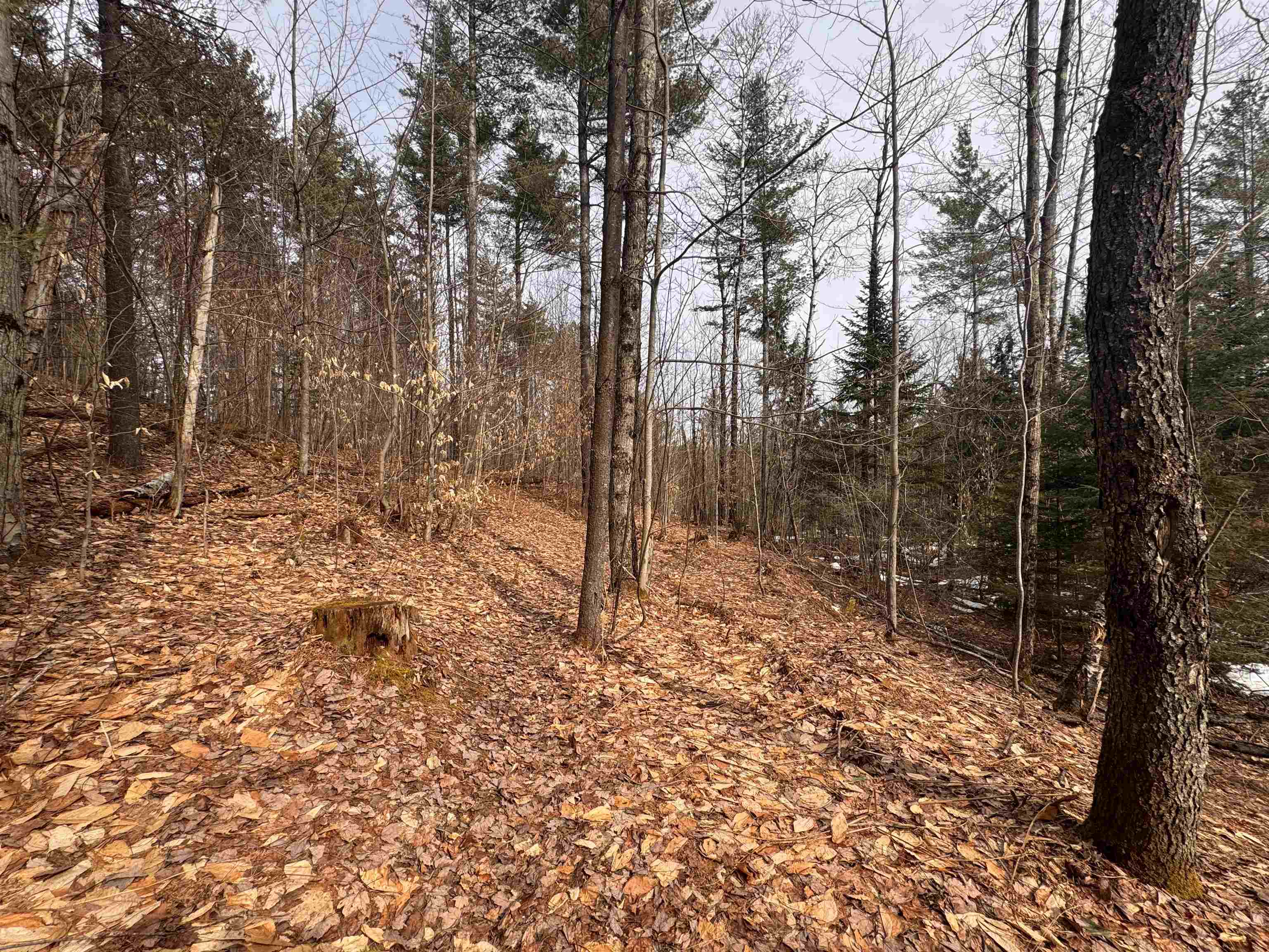 0 Cross Road Property Photo 14