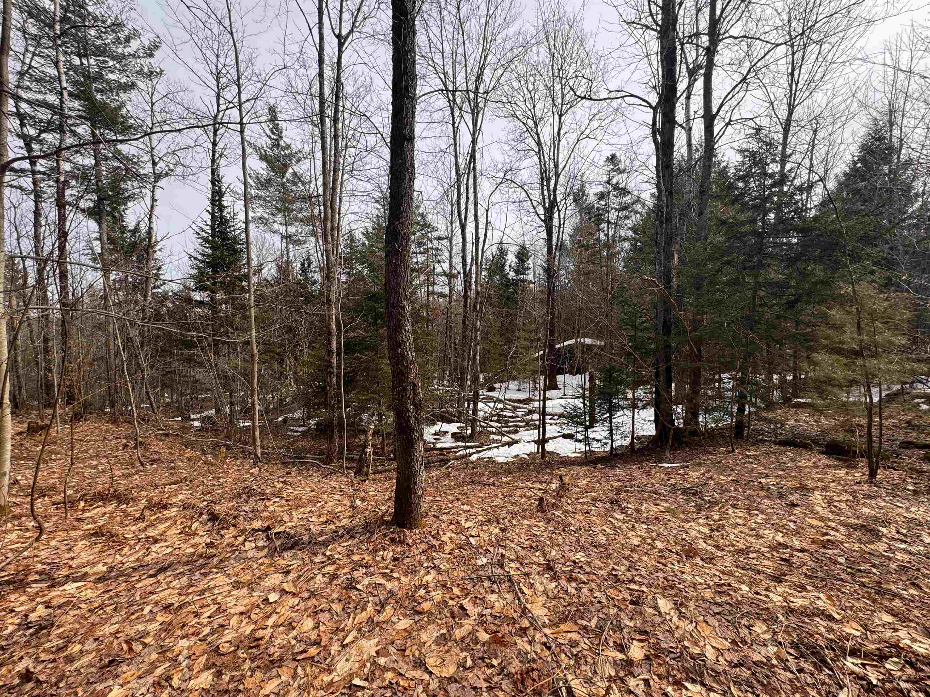 0 Cross Road Property Photo 15