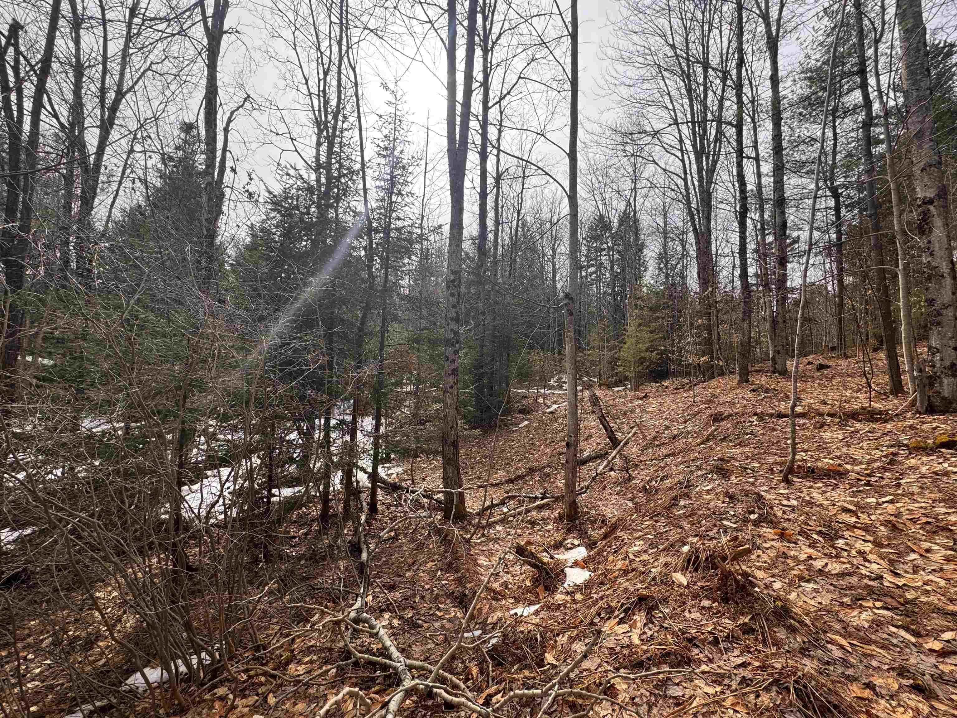 0 Cross Road Property Photo 16