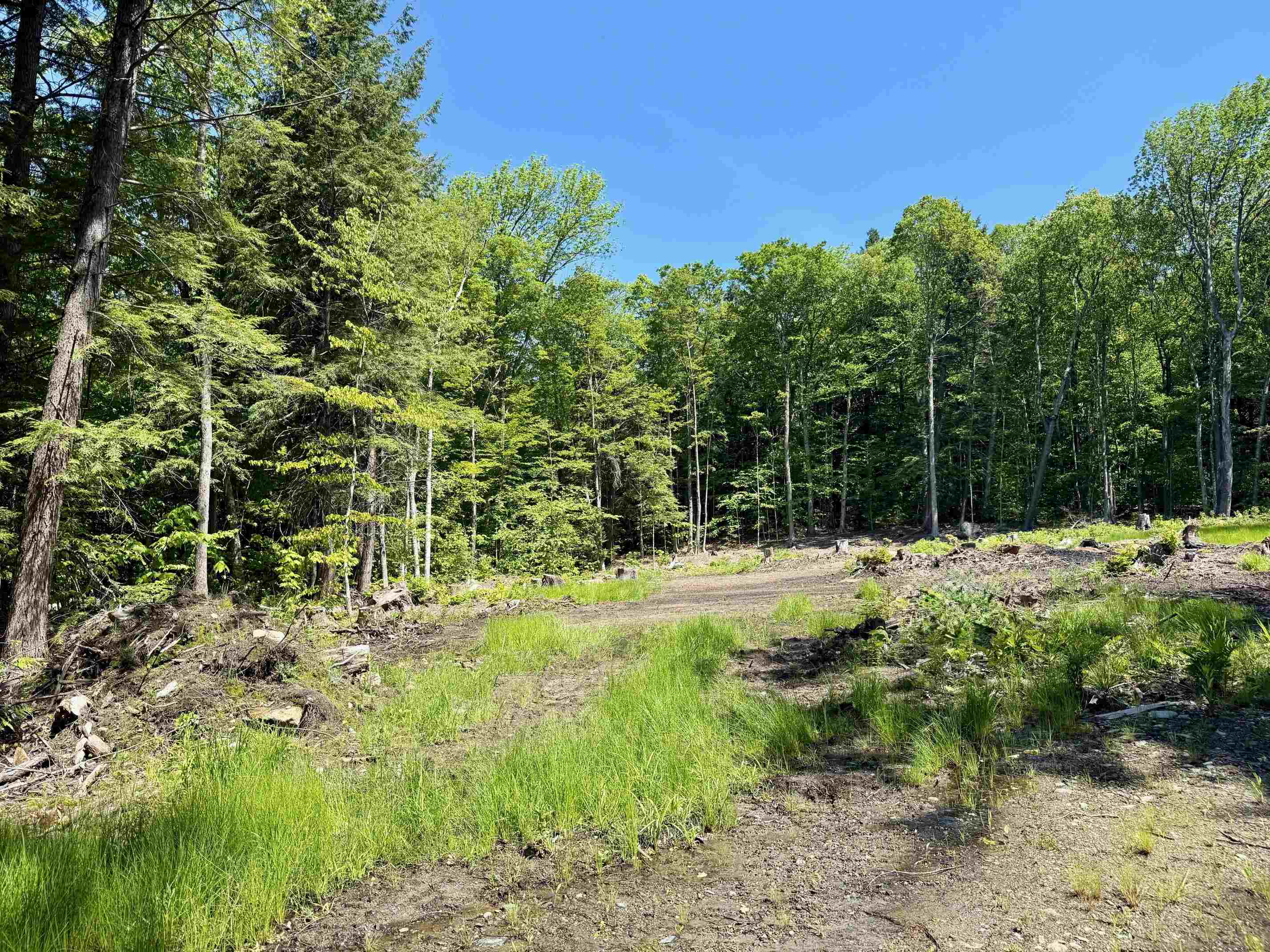 585 Sawmill Road Property Photo 1