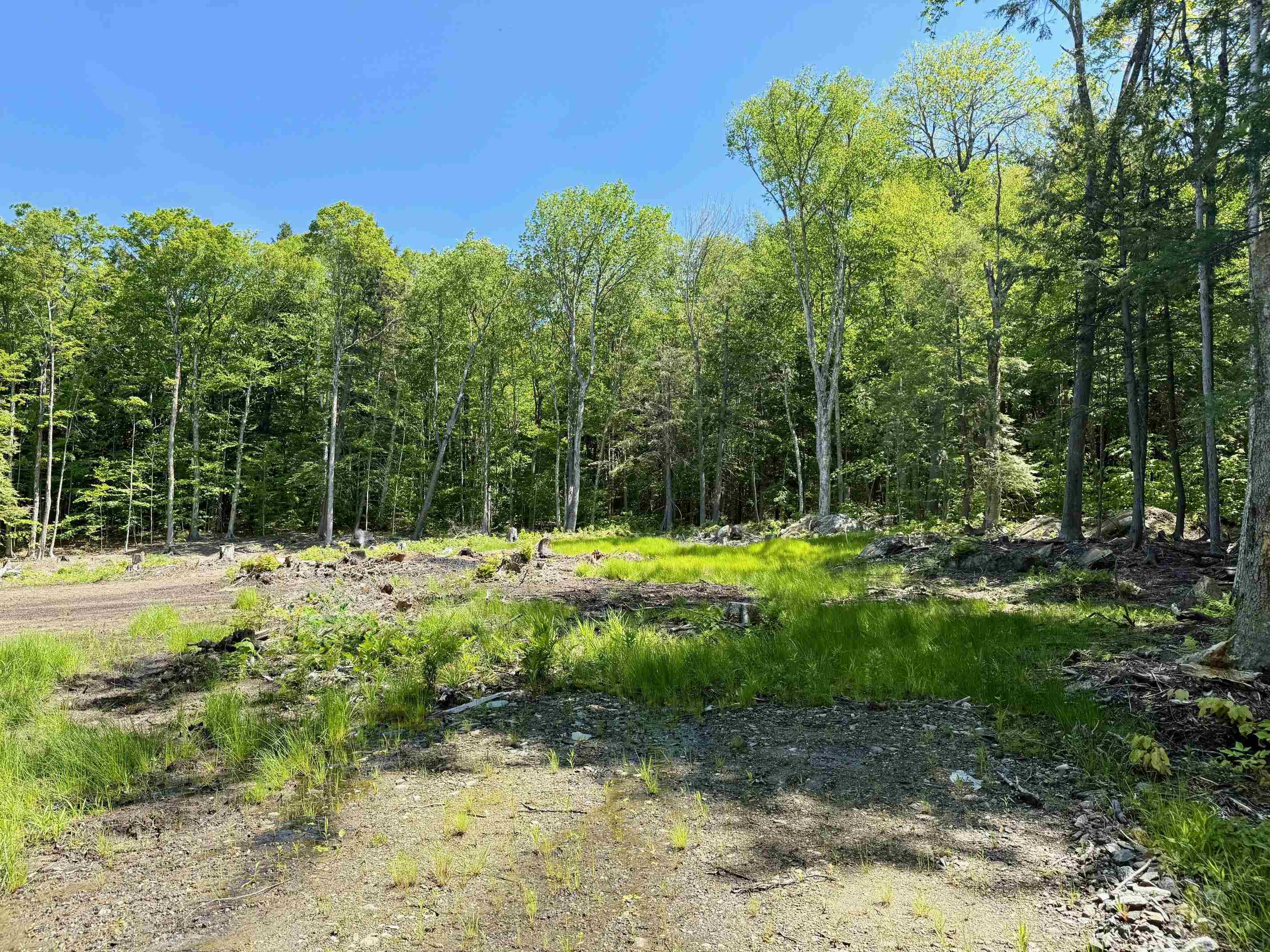 585 Sawmill Road Property Photo 2