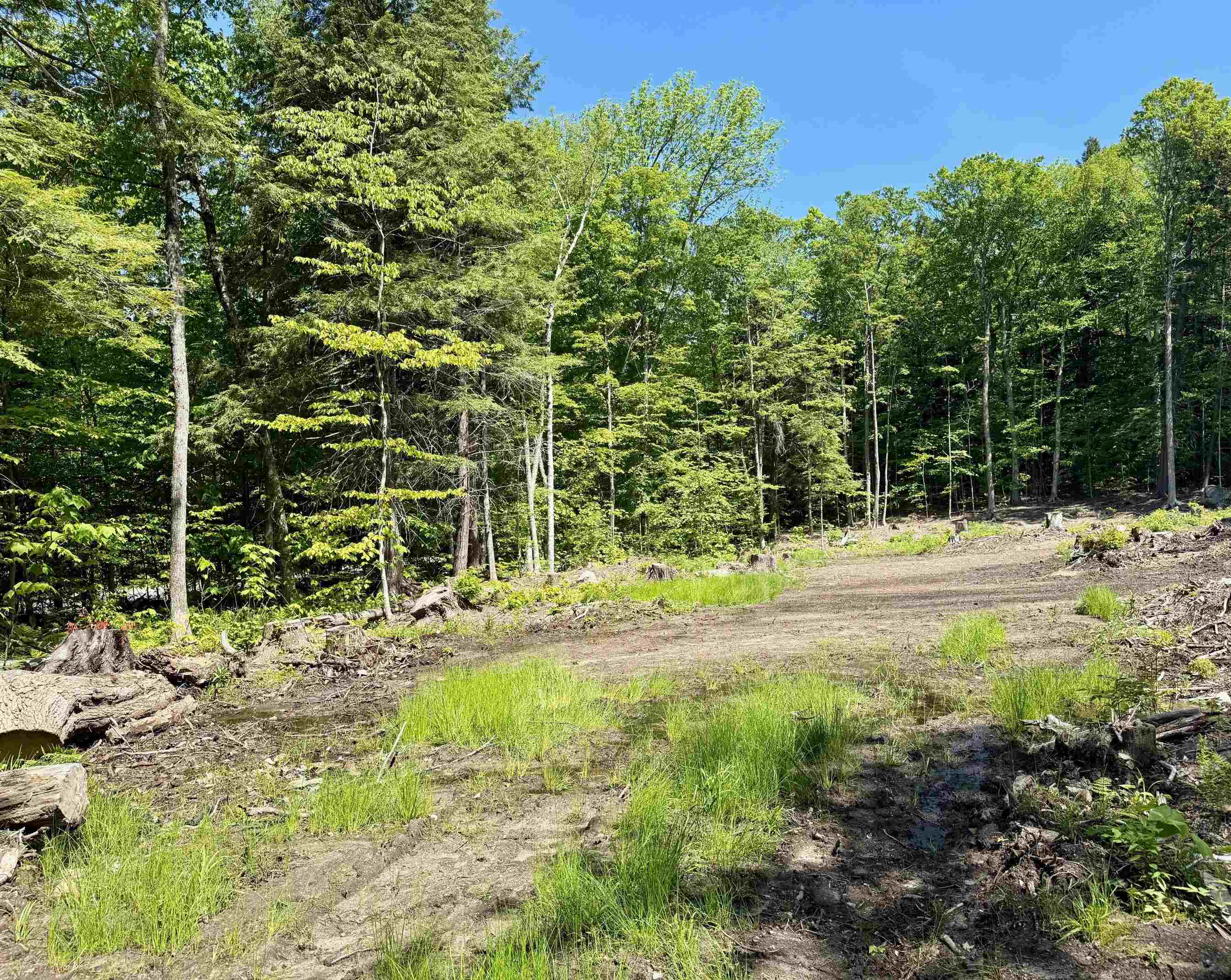 585 Sawmill Road Property Photo 3