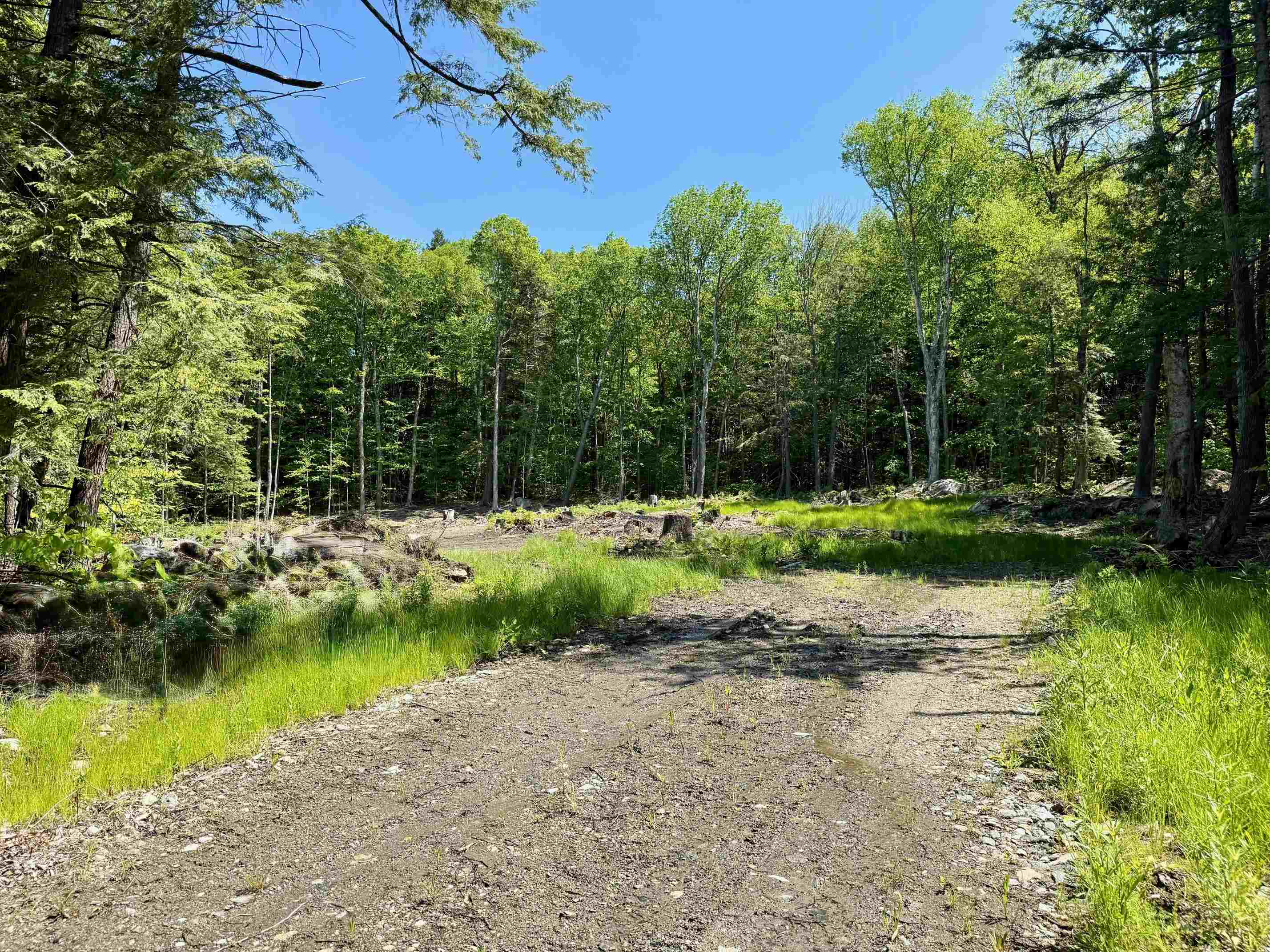 585 Sawmill Road Property Photo 4