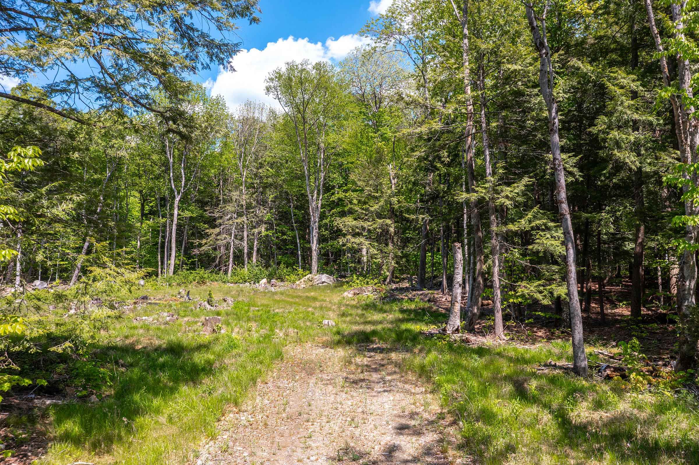 585 Sawmill Road Property Photo 4