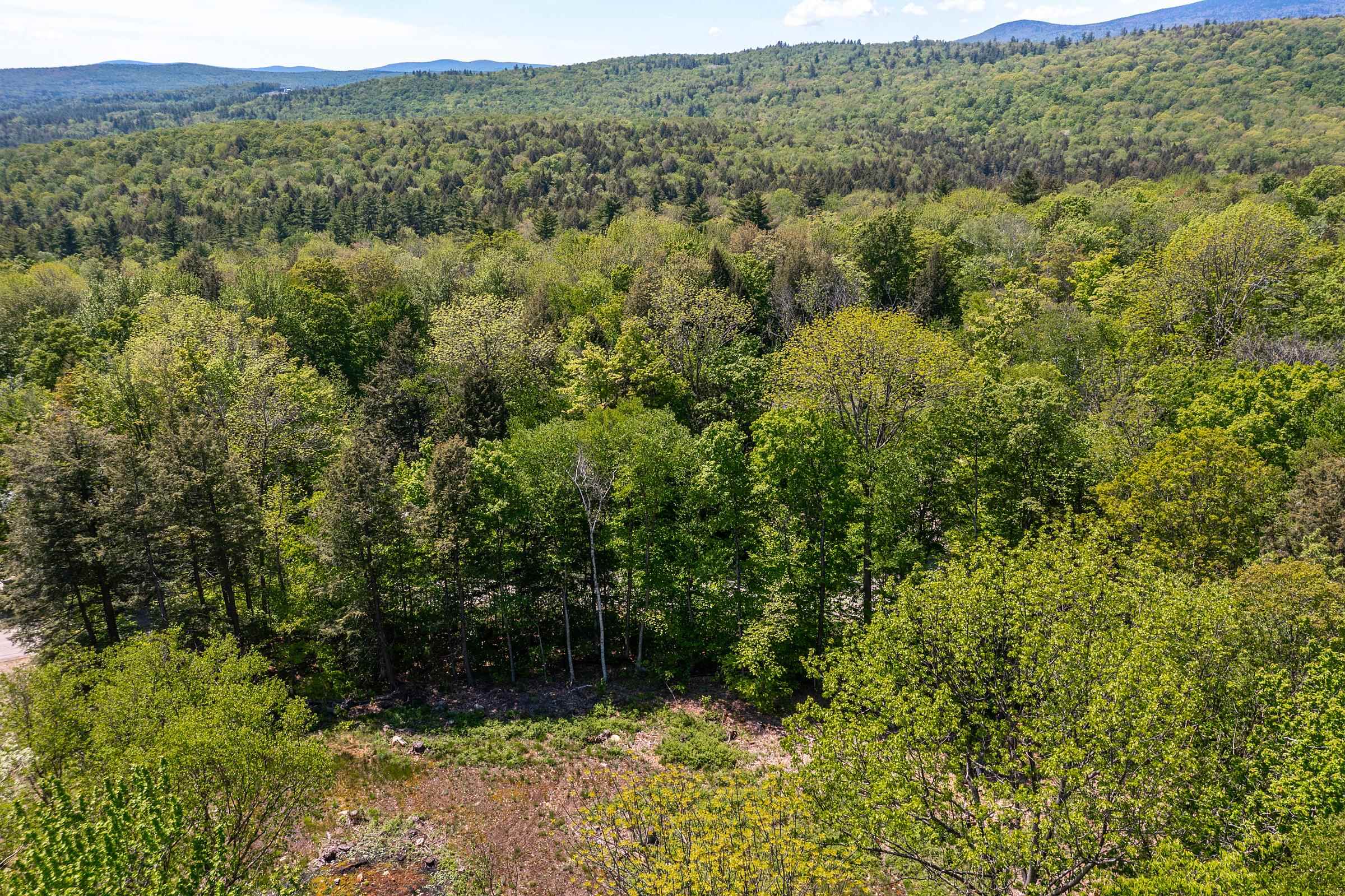 585 Sawmill Road Property Photo 6