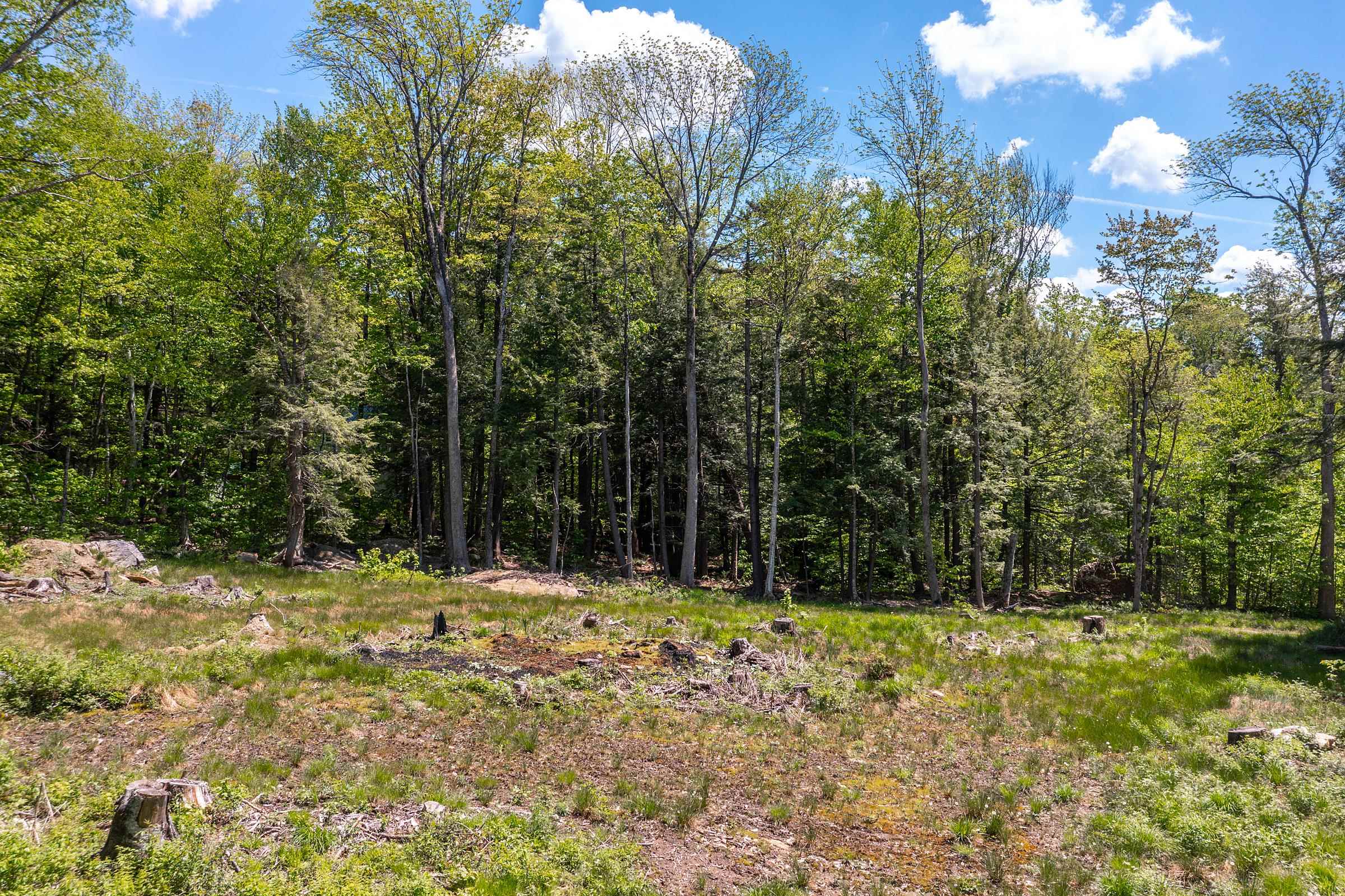 585 Sawmill Road Property Photo 7