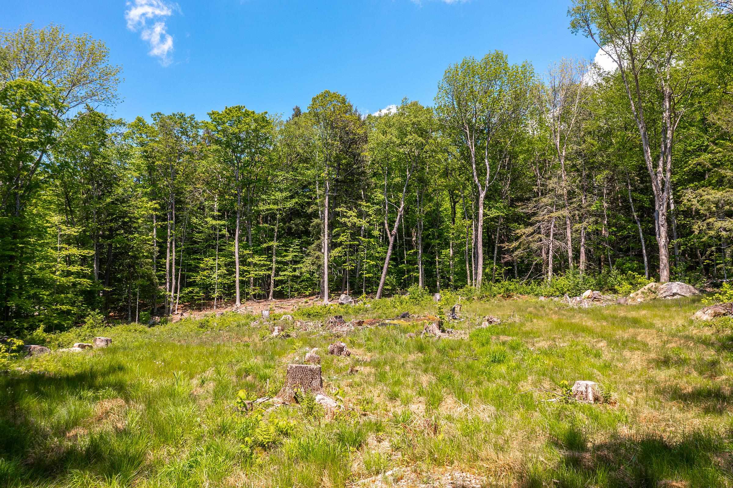 585 Sawmill Road Property Photo 8