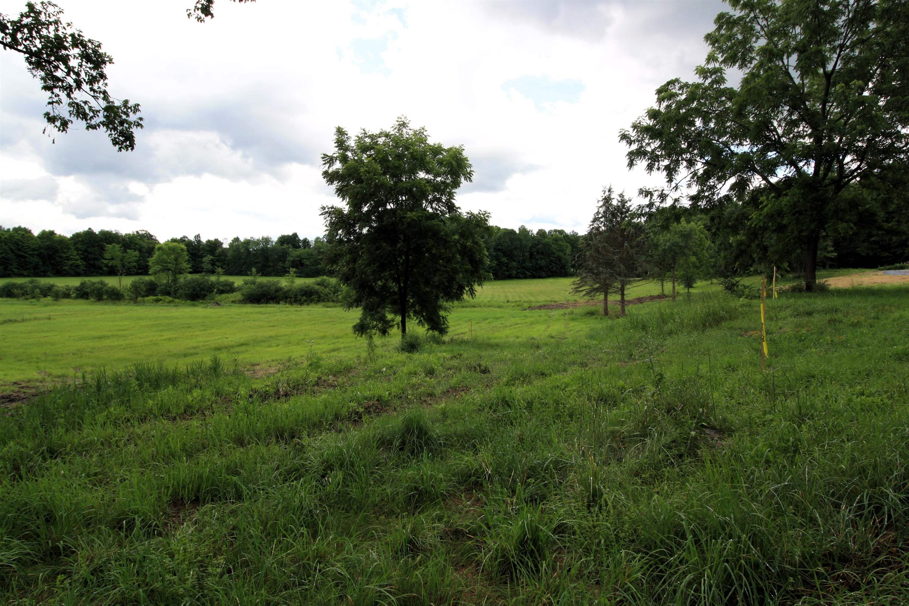 Tbd Barnes Road Property Photo 3